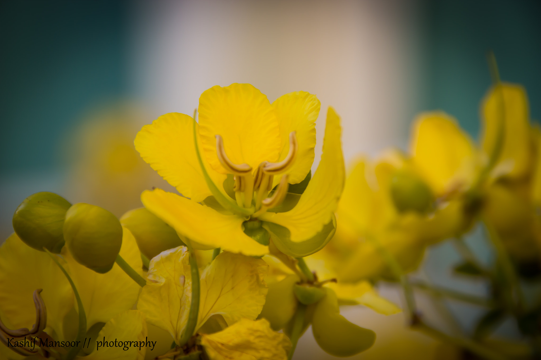 Sigma 18-200mm f/3.5-6.3 DC OS sample photo. 20150124-img_0001.jpg photography