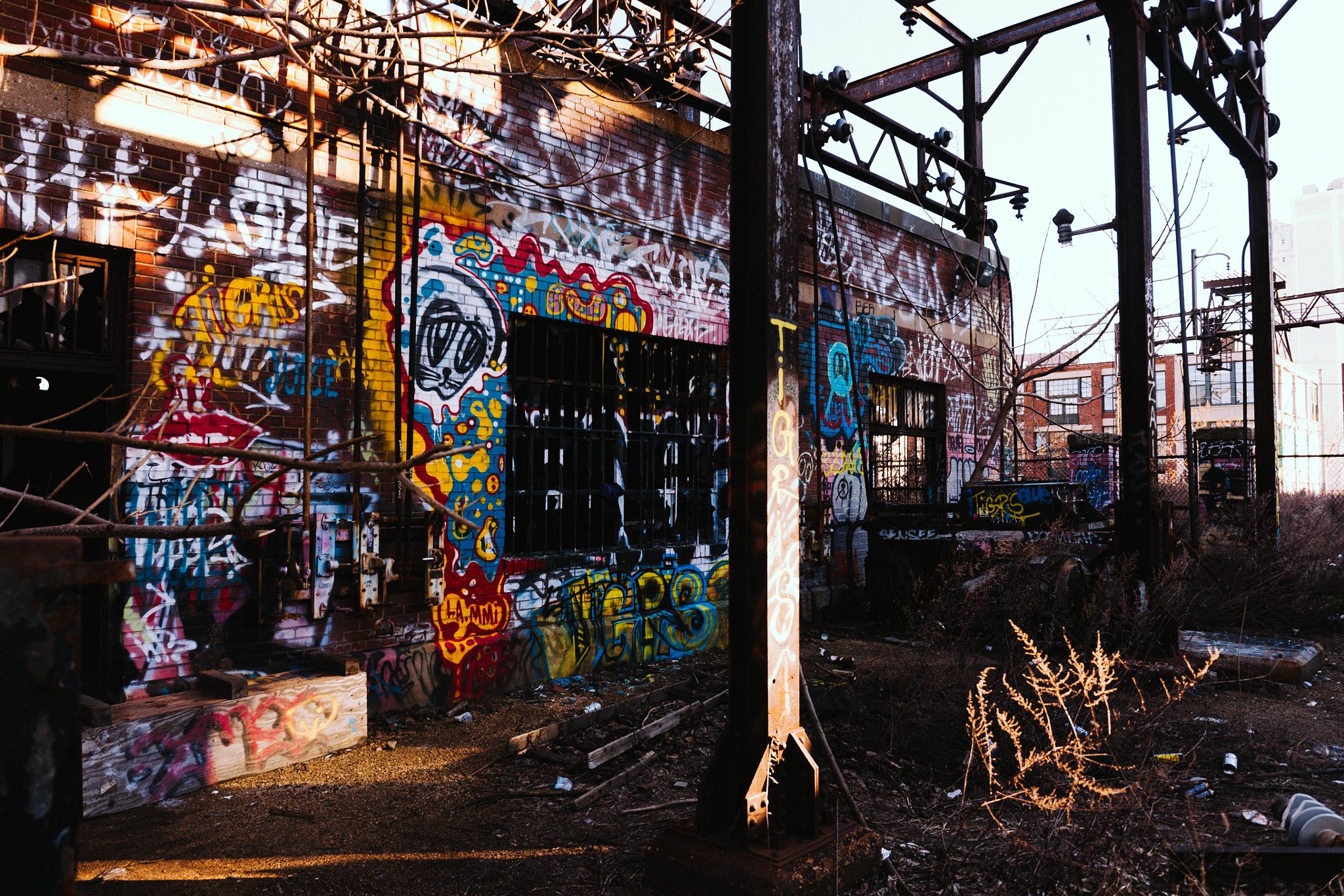 Canon EF 24-70mm F4L IS USM sample photo. Trap out.. photography