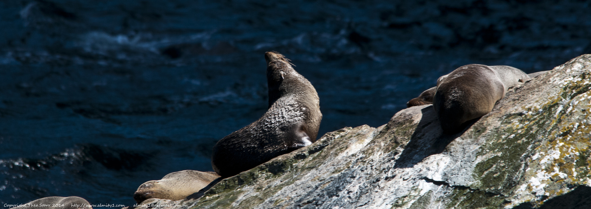 Sigma 150-500mm F5-6.3 DG OS HSM sample photo. South island, new zealand photography