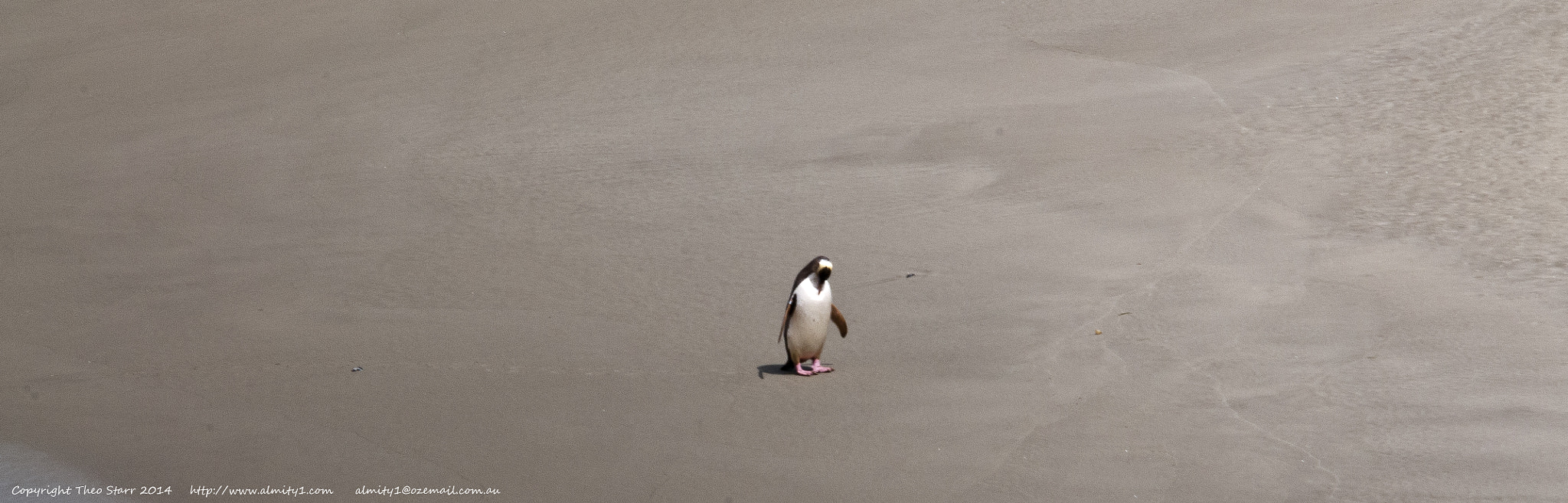 Sigma 150-500mm F5-6.3 DG OS HSM sample photo. South island, new zealand photography