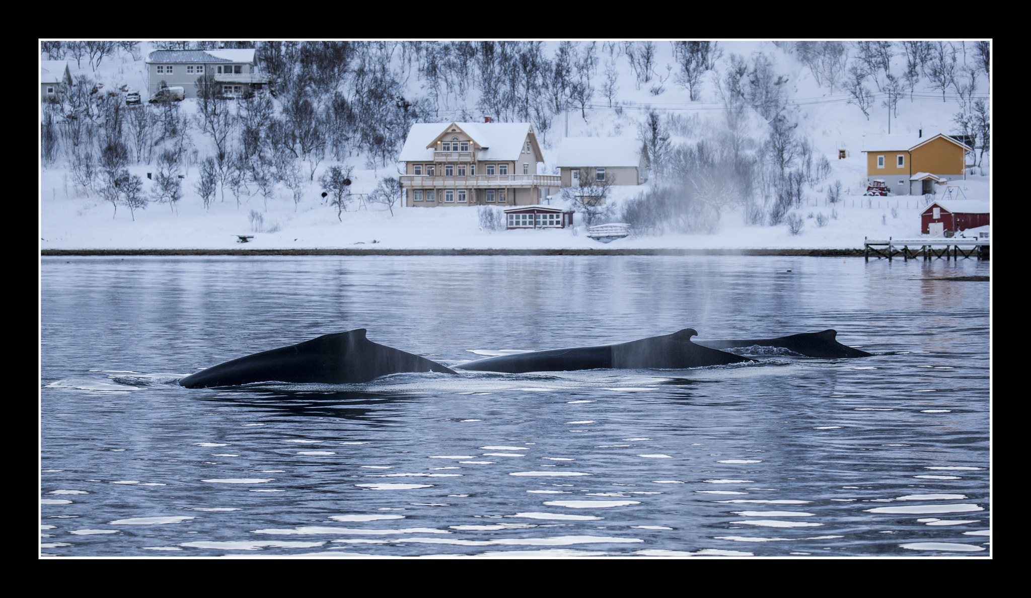 Canon EF 100-400mm F4.5-5.6L IS II USM sample photo. Calm sea photography