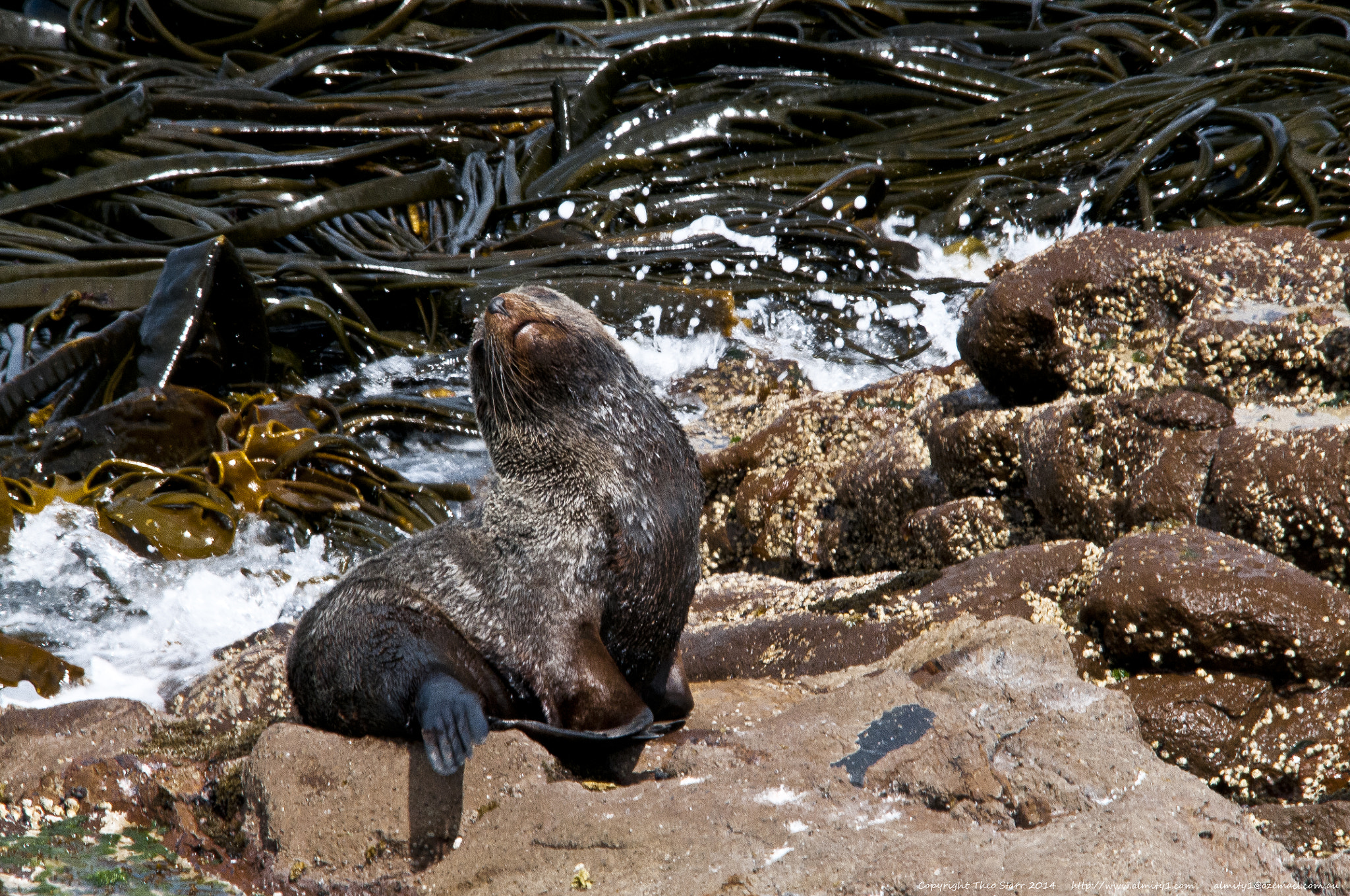 Sigma 150-500mm F5-6.3 DG OS HSM sample photo. South island, new zealand photography