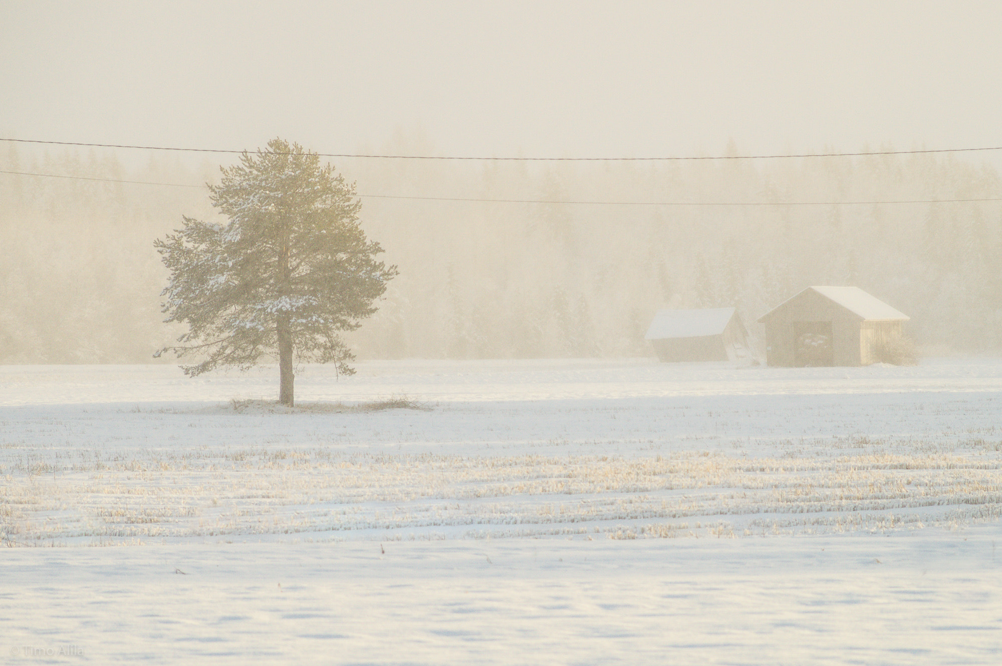 Minolta AF 100-200mm F4.5 sample photo. Snowfall and sunshine on field photography