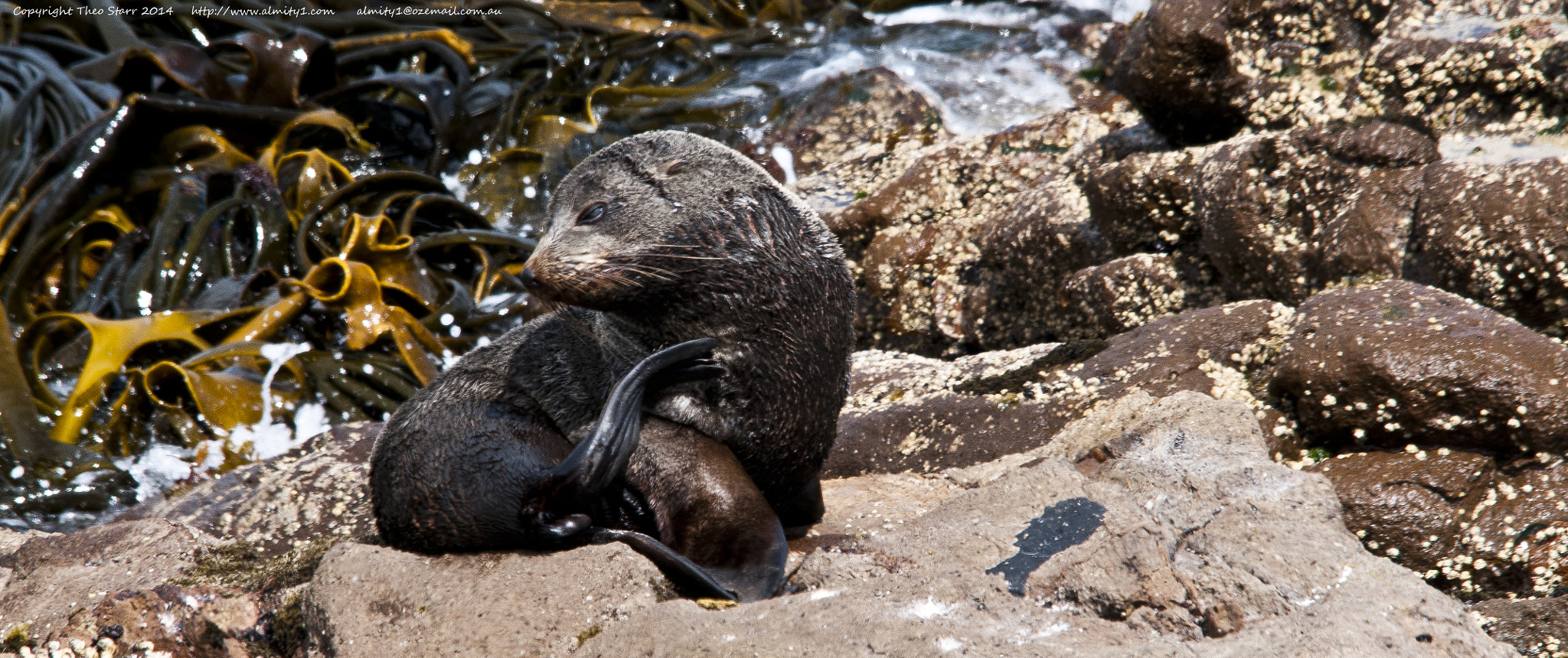 Sigma 150-500mm F5-6.3 DG OS HSM sample photo. South island, new zealand photography