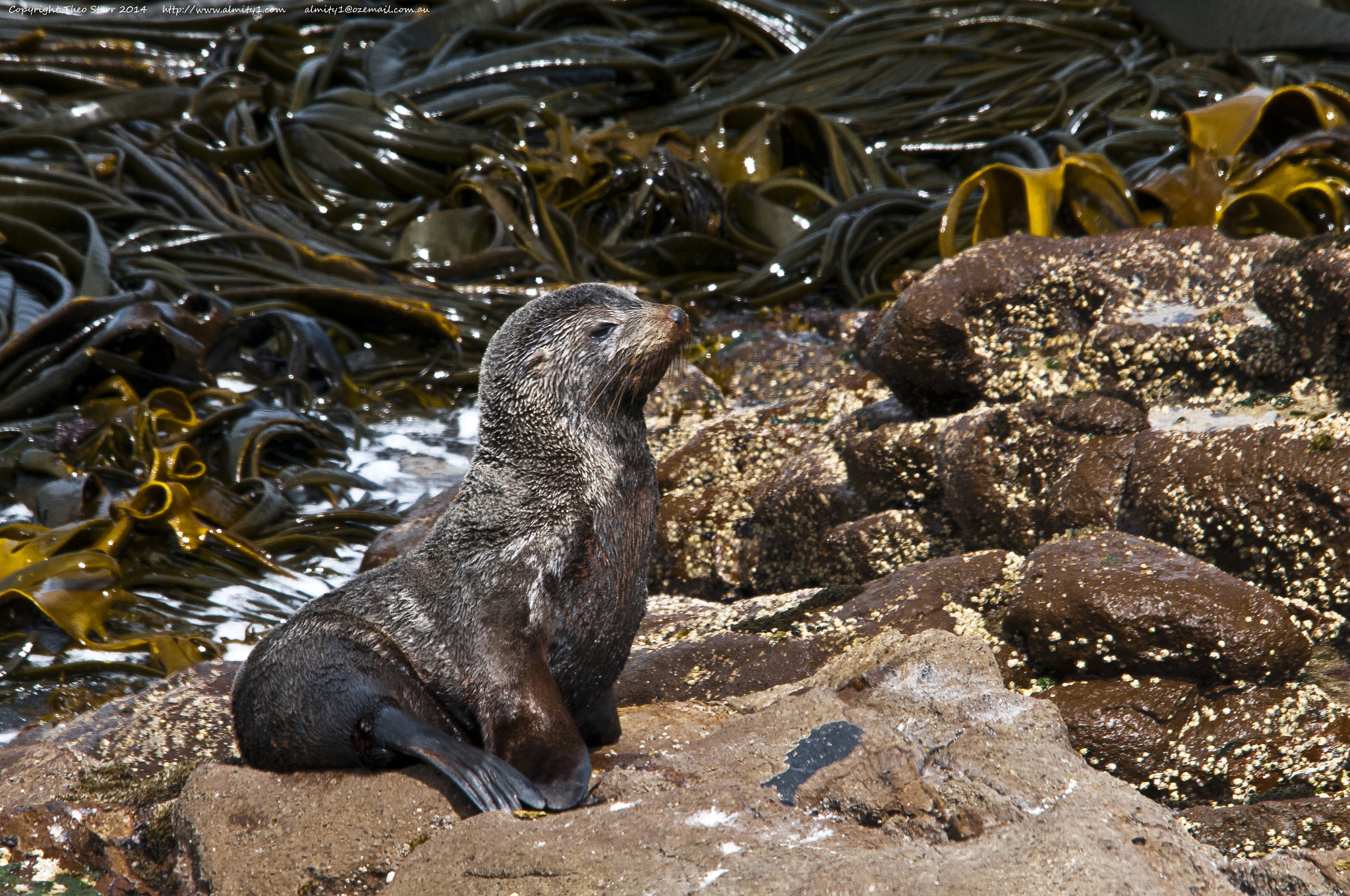Sigma 150-500mm F5-6.3 DG OS HSM sample photo. South island, new zealand photography