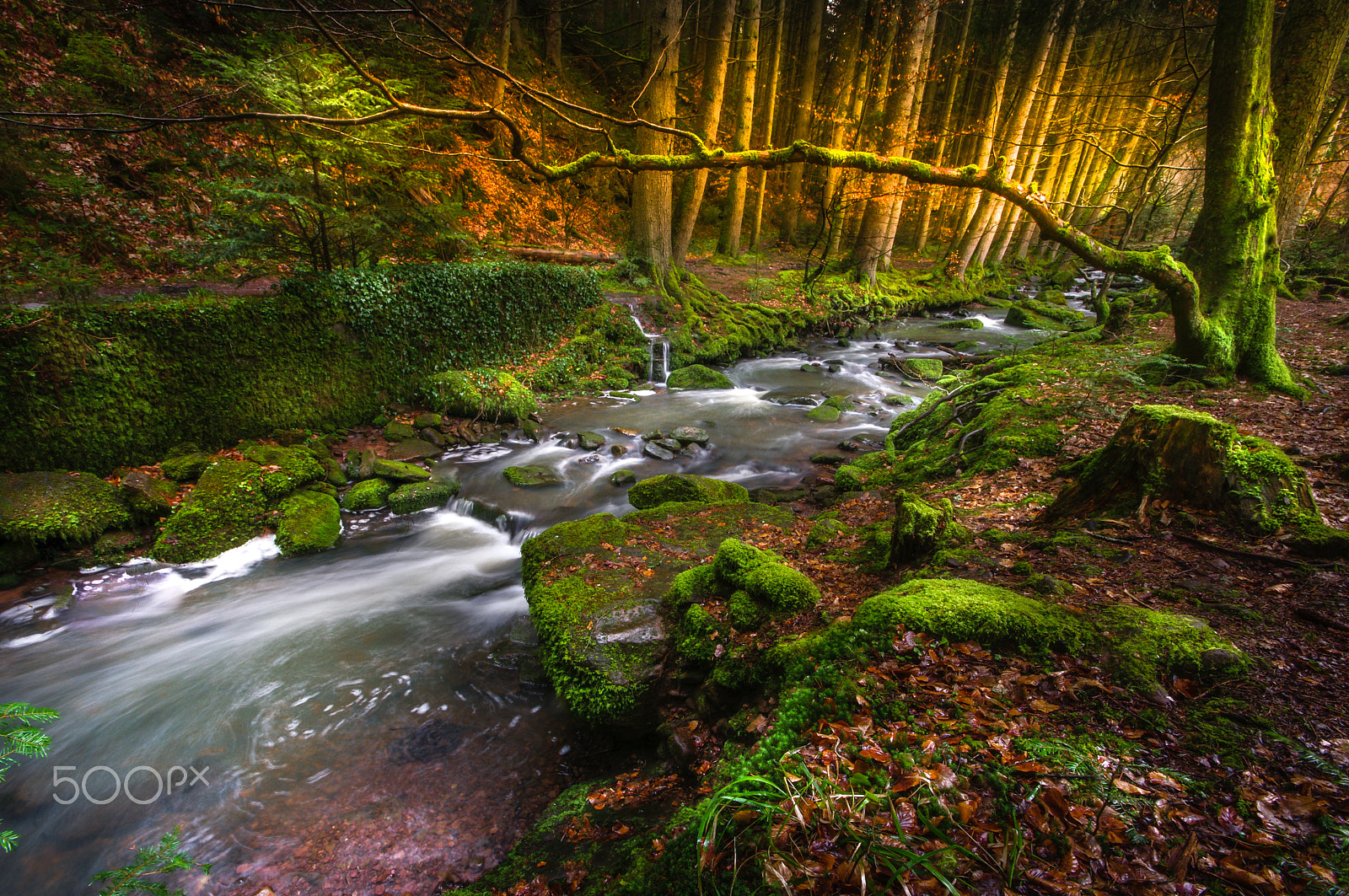 Sigma AF 10-20mm F4-5.6 EX DC sample photo. *mossy creek* photography