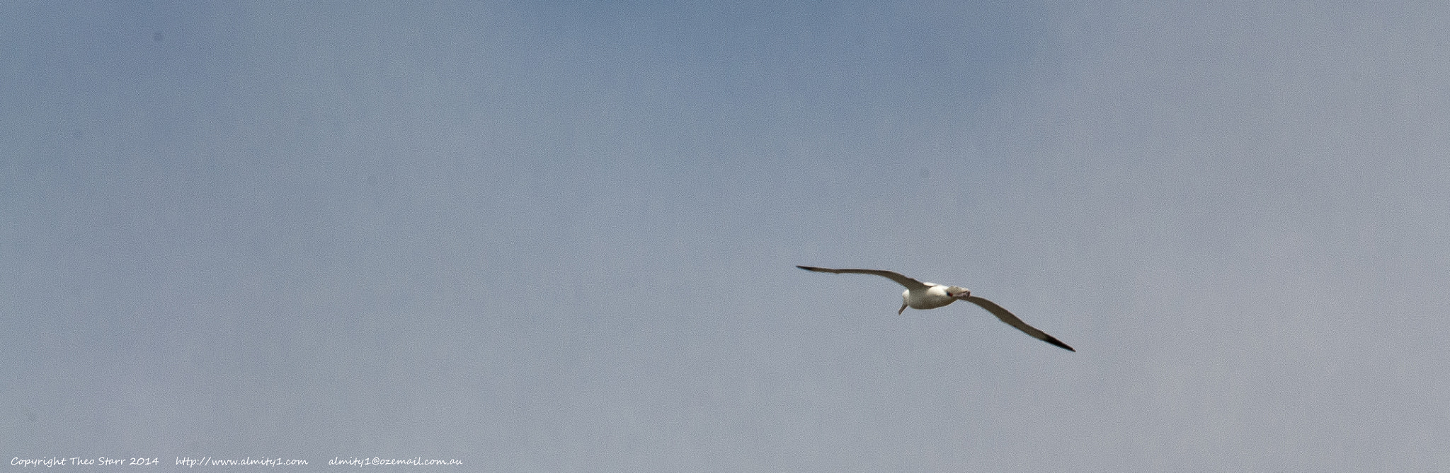 Sigma 150-500mm F5-6.3 DG OS HSM sample photo. South island, new zealand photography