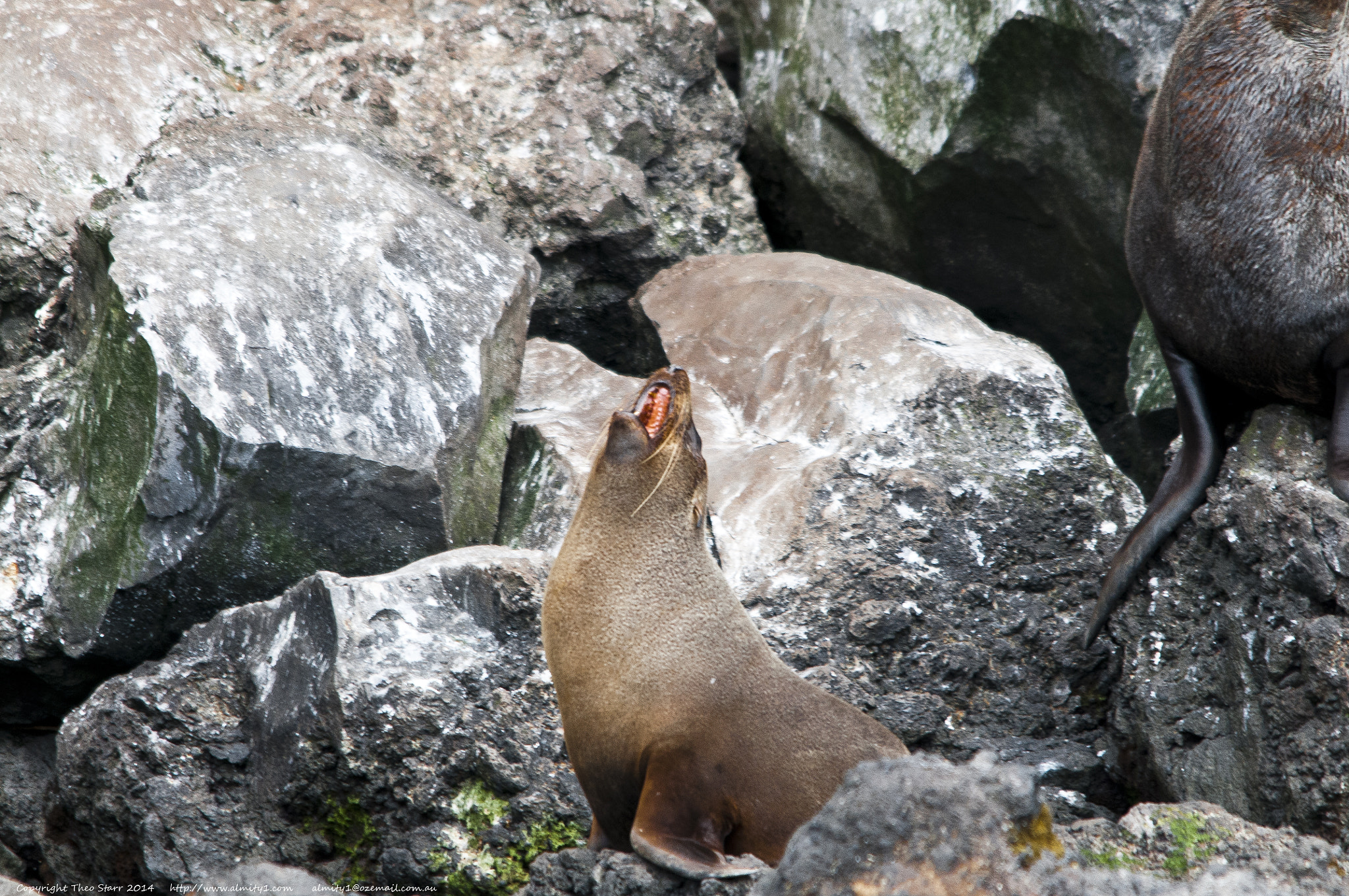 Sigma 150-500mm F5-6.3 DG OS HSM sample photo. South island, new zealand photography
