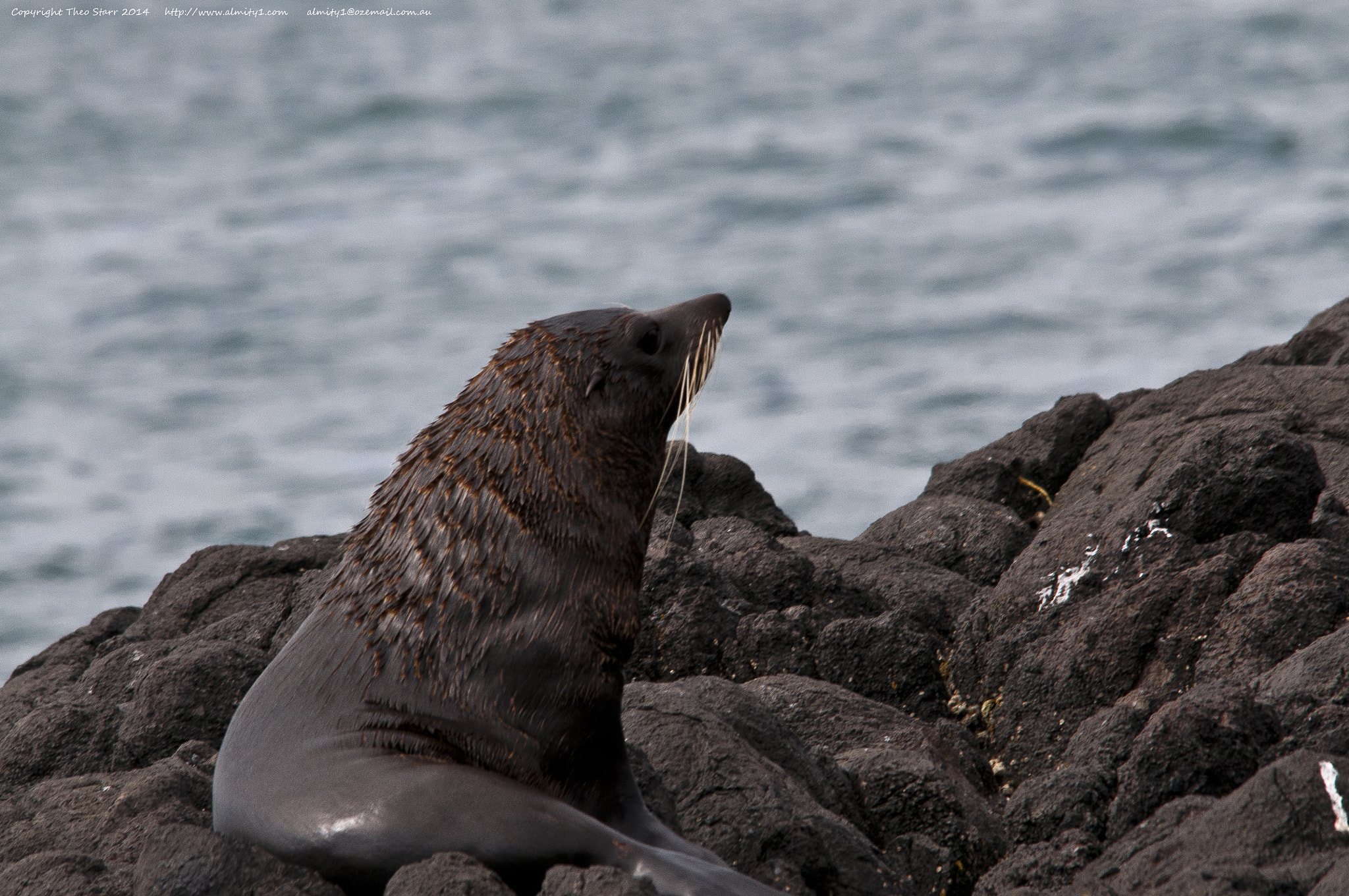 Sigma 150-500mm F5-6.3 DG OS HSM sample photo. South island, new zealand photography