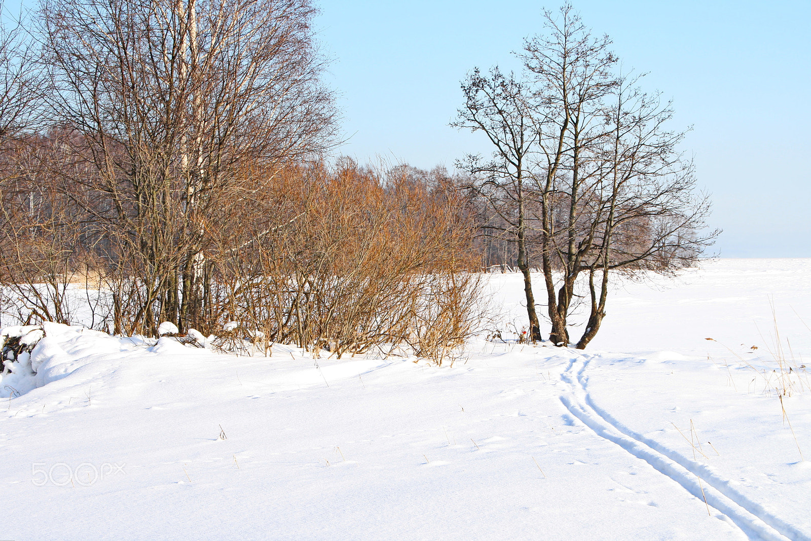 Sigma 18-125mm F3.8-5.6 DC OS HSM sample photo. Ski trail photography