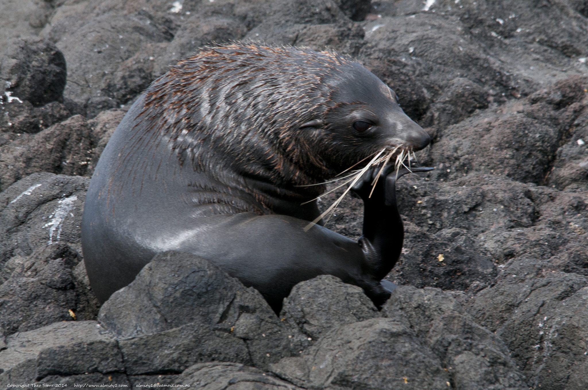 Sigma 150-500mm F5-6.3 DG OS HSM sample photo. South island, new zealand photography
