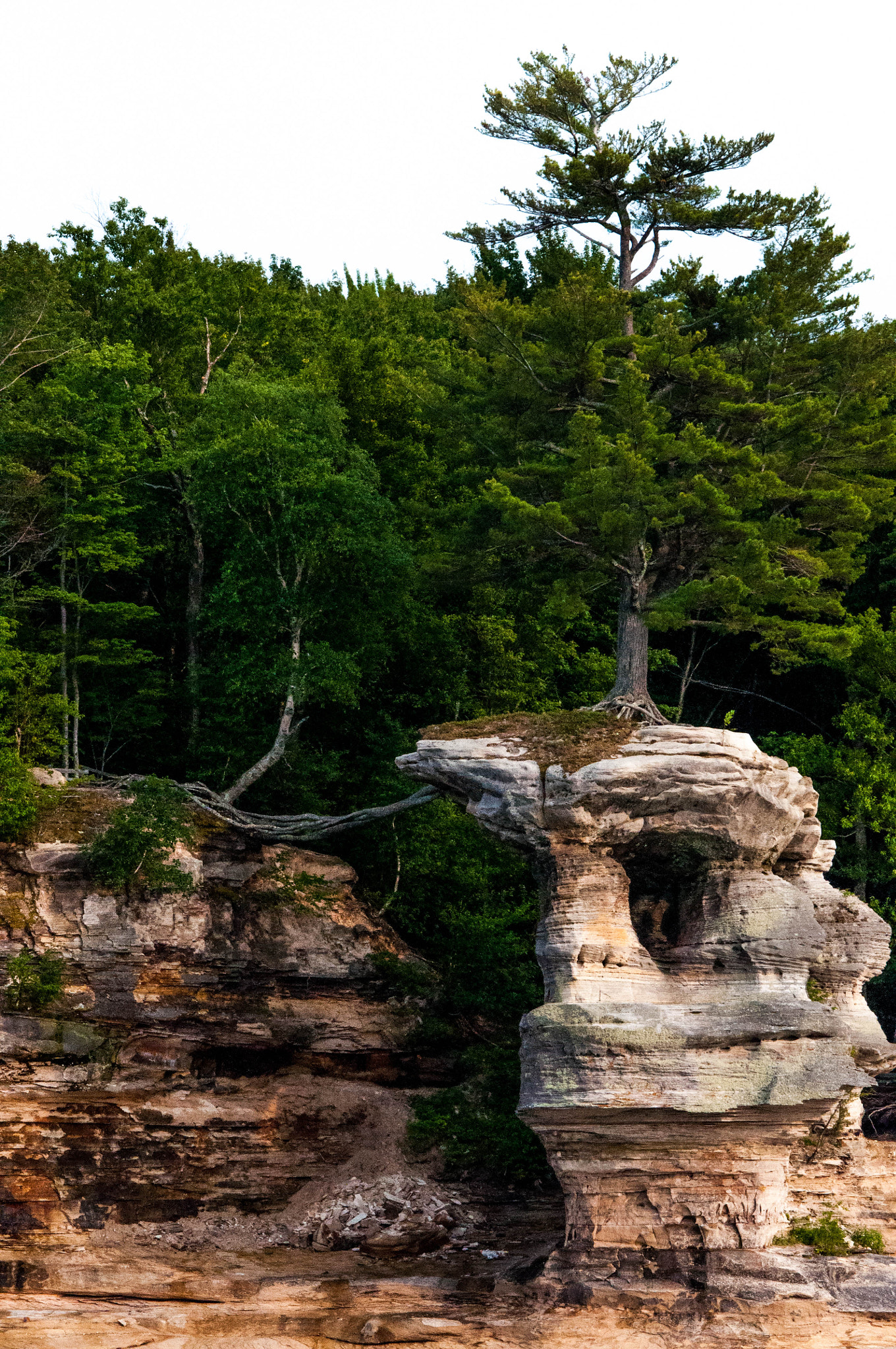 Nikon D5000 + AF Nikkor 85mm f/1.8 sample photo. Michigan vac photography
