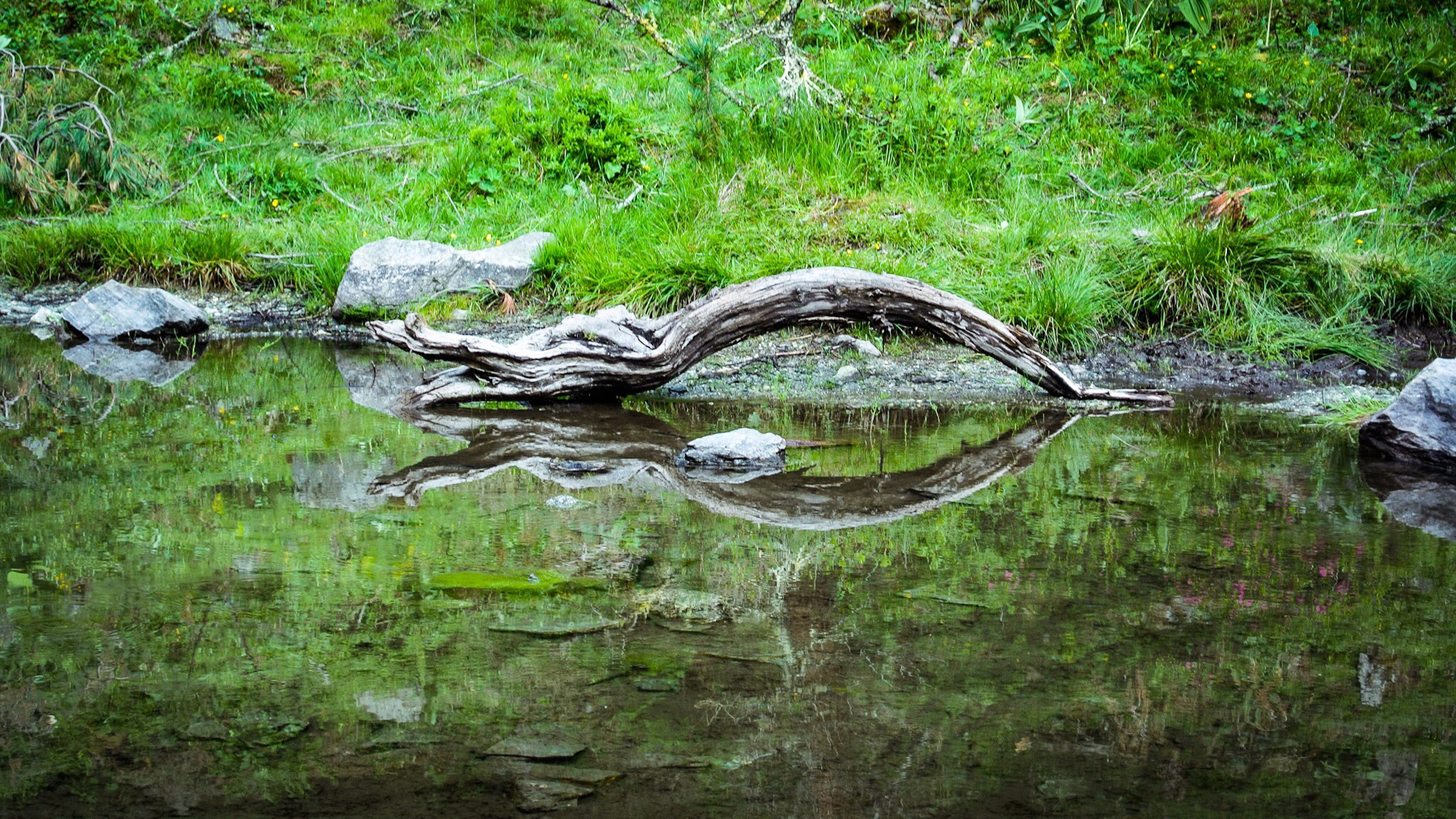 Nikon 1 J2 sample photo. Mirror photography