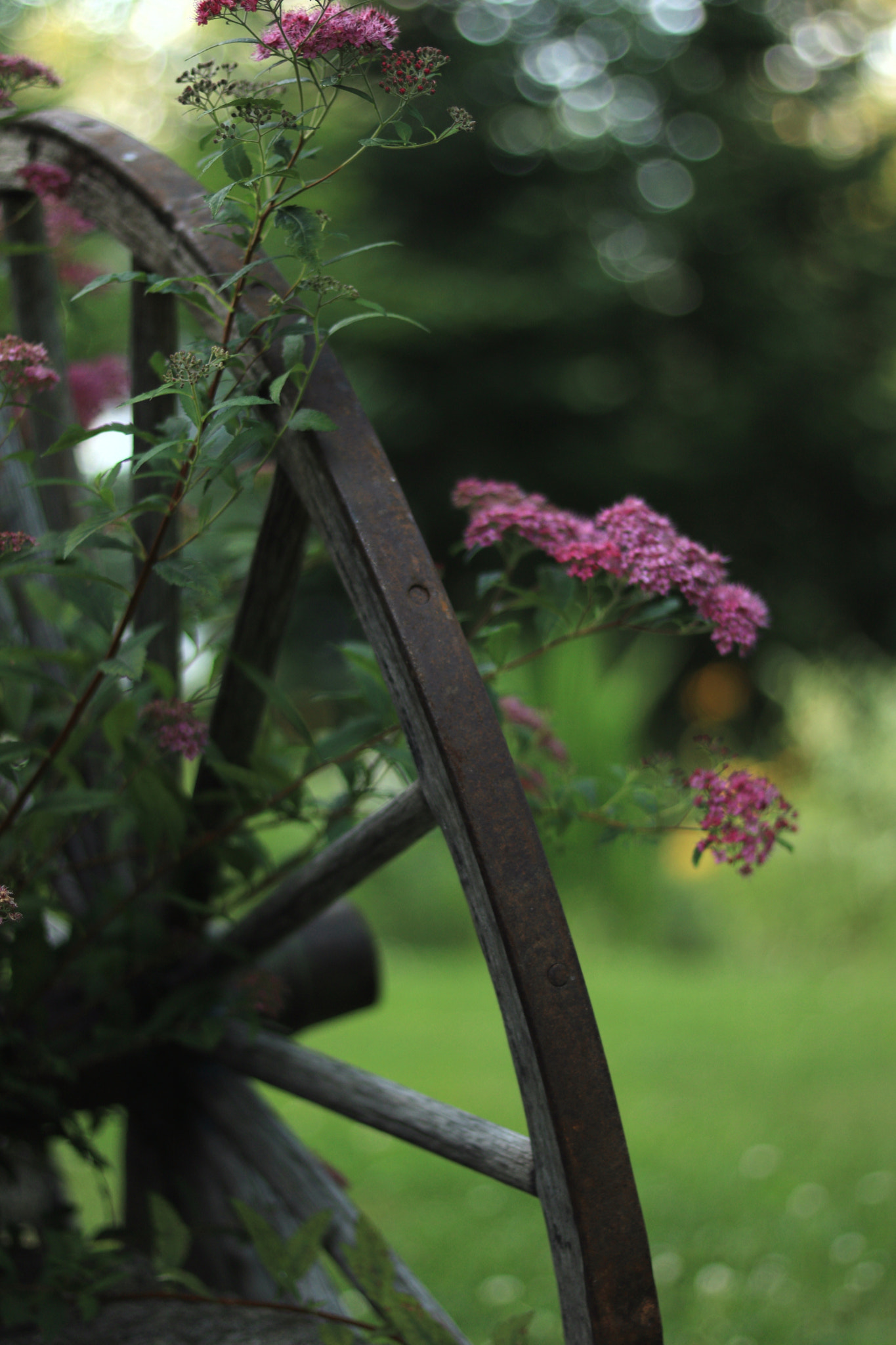 Canon EF 50mm F1.8 STM sample photo. Mm photography