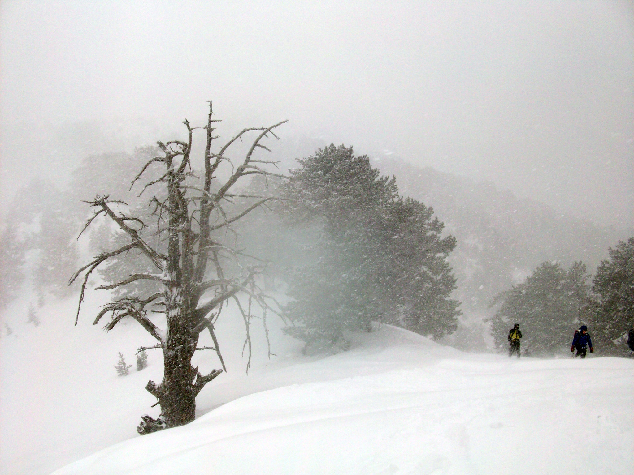 Kodak EASYSHARE M863 DIGITAL CAMERA sample photo. Spirit of the snowstorm photography