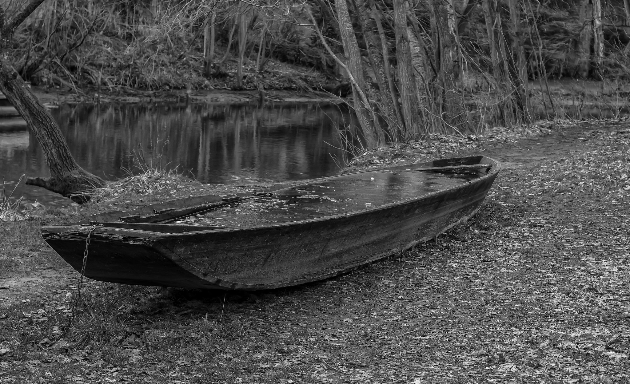 Sony SLT-A58 + Minolta AF 50mm F1.7 New sample photo. Das boot. photography