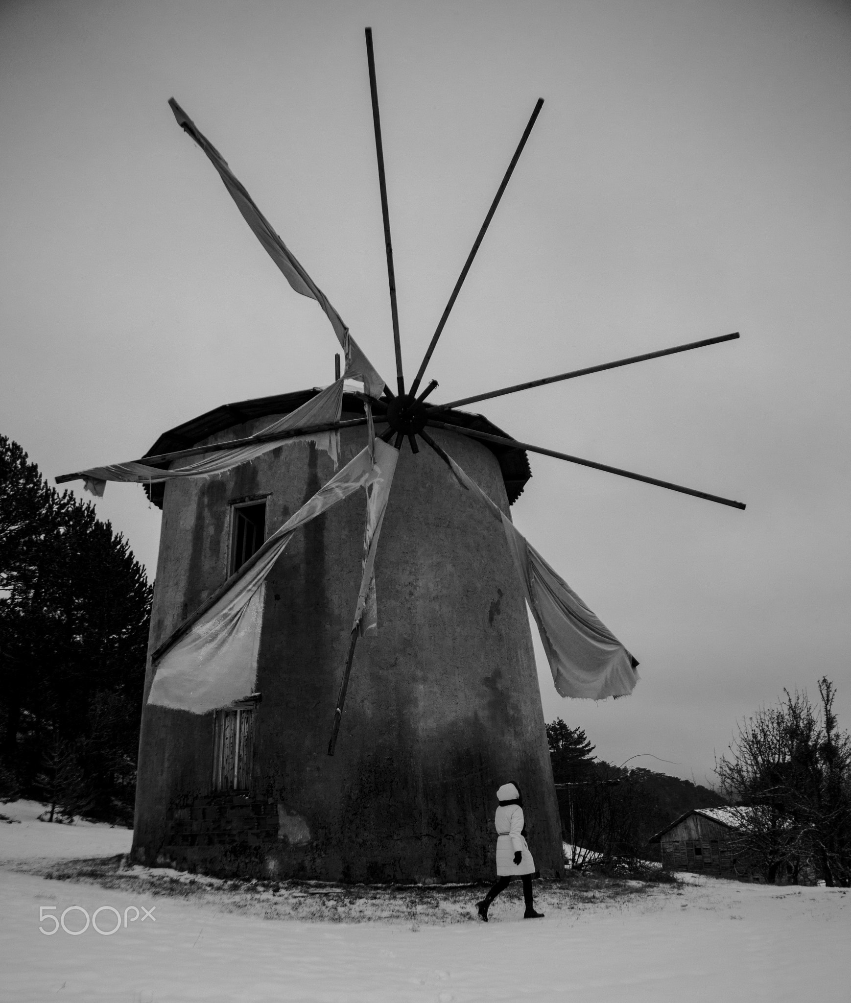 The integration of black and white