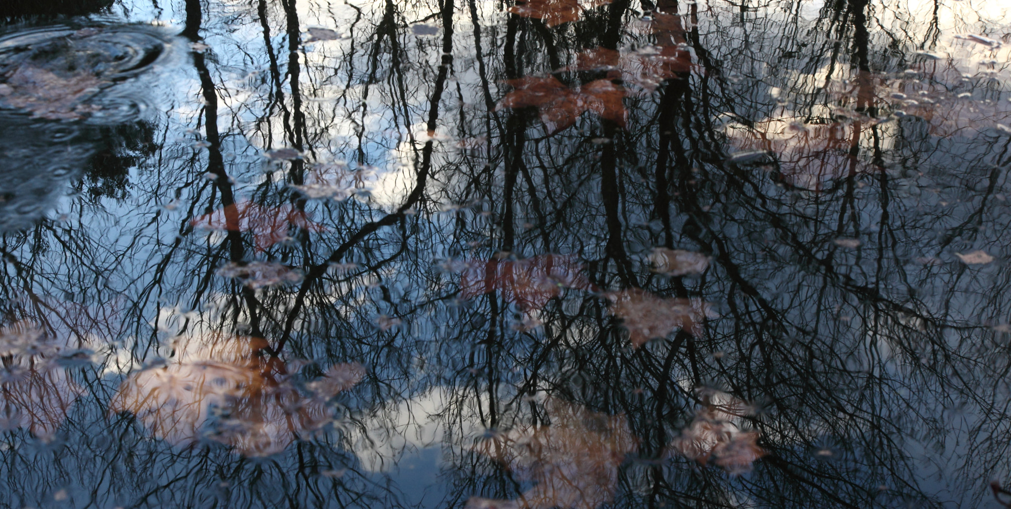 Canon EF 24-105mm F4L IS USM sample photo. Jpg photography