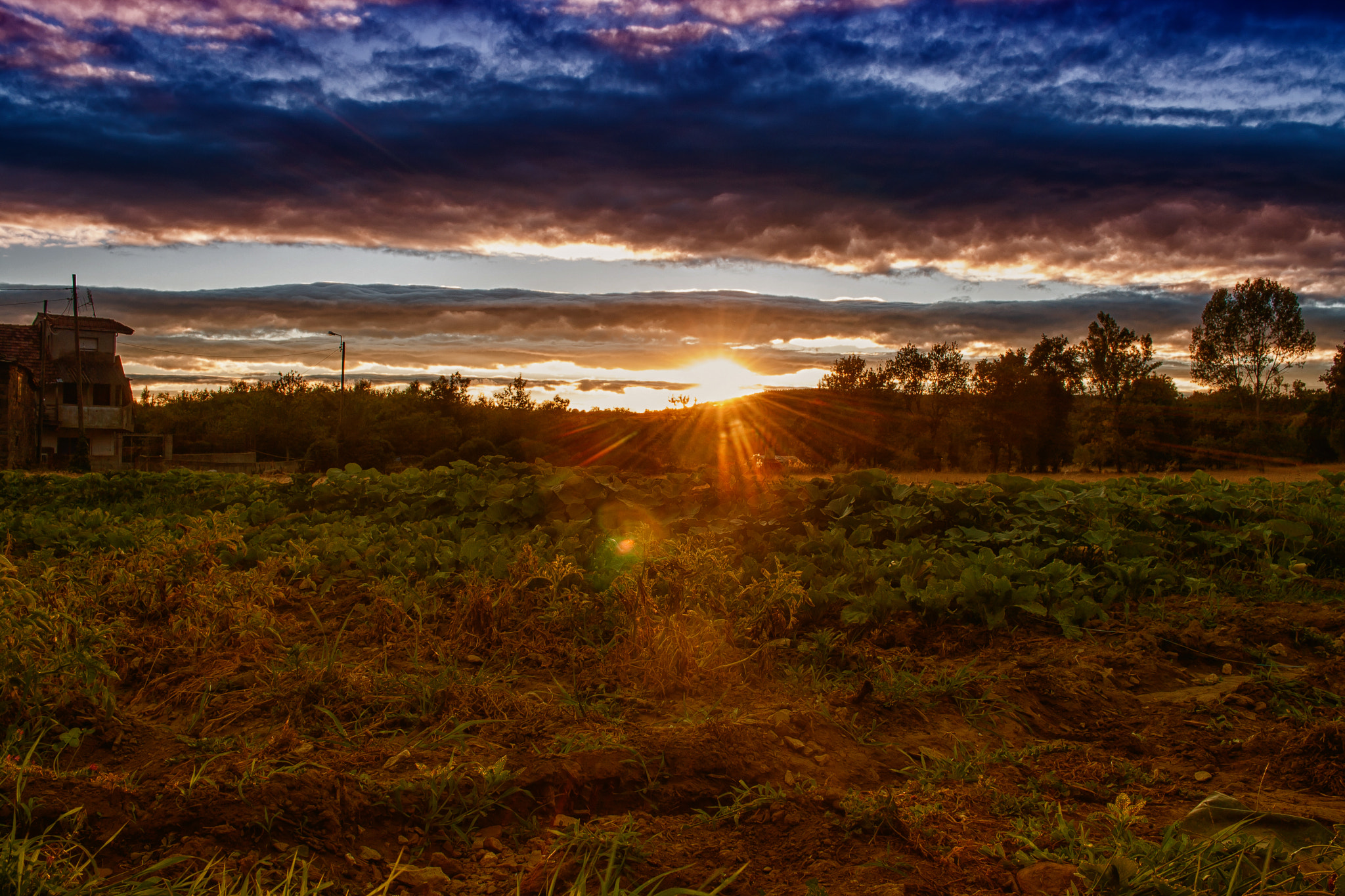 Canon EF-S 24mm F2.8 STM sample photo. Down photography