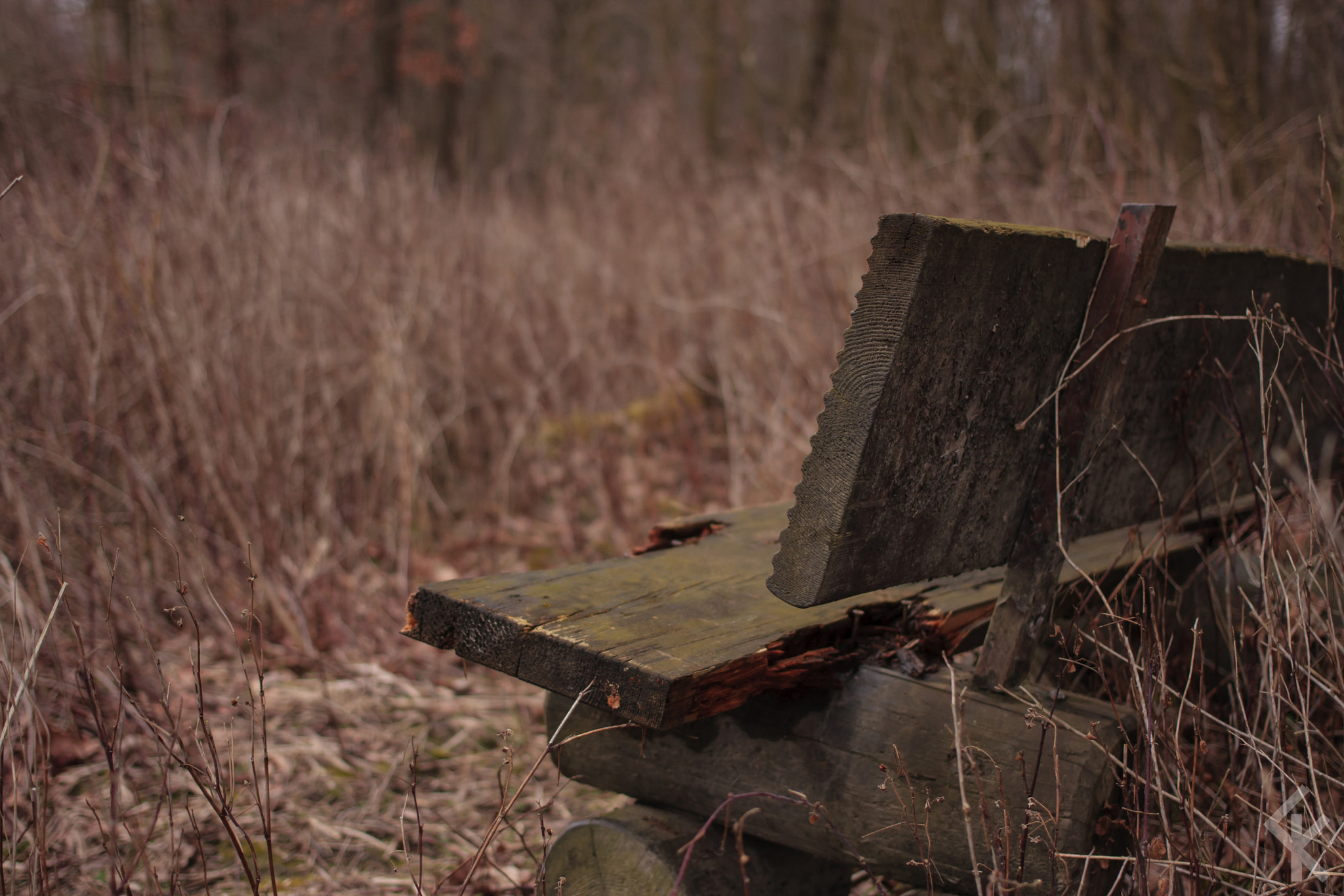 Canon EOS 40D + Canon EF 40mm F2.8 STM sample photo. Nature bench photography