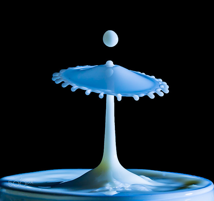 Sigma 105mm F2.8 EX DG OS HSM sample photo. Milk umbrella photography