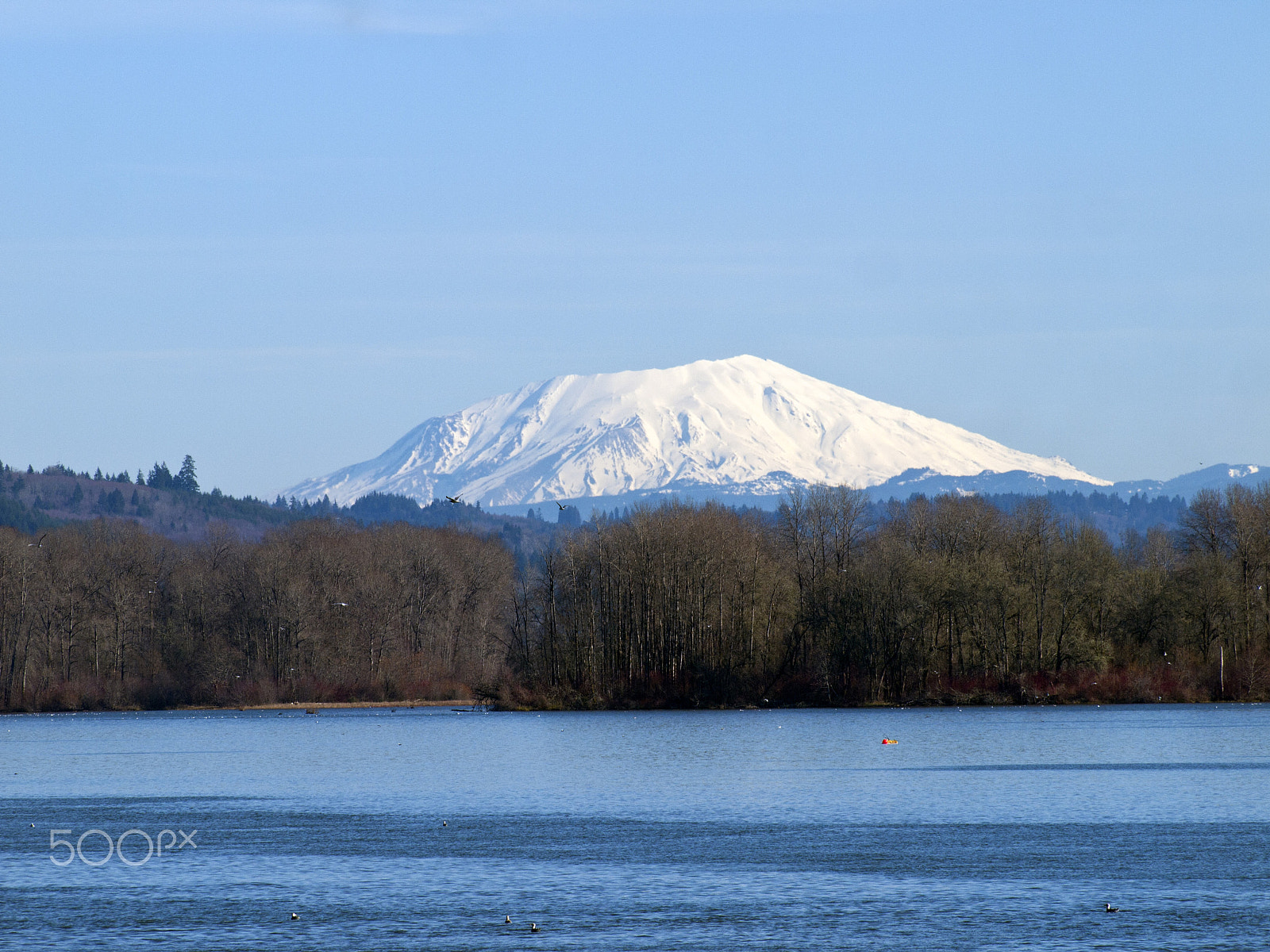 Olympus PEN E-P1 sample photo. Pacific northwest beauty photography