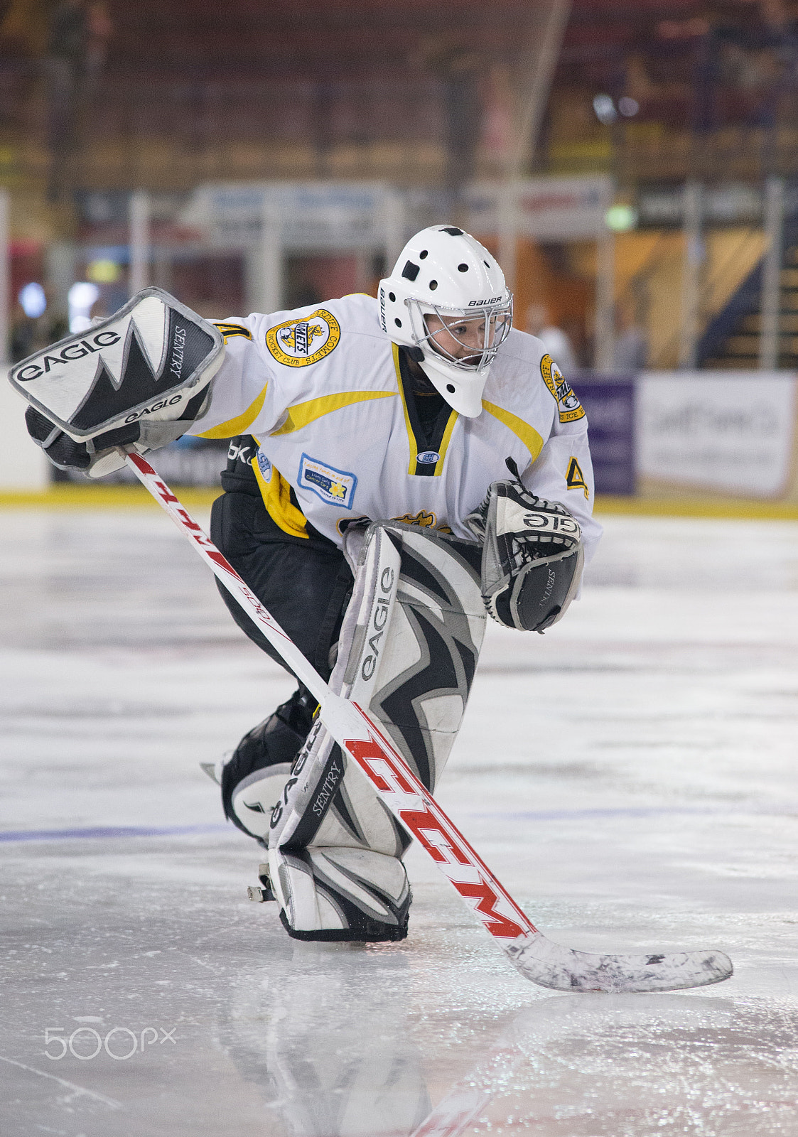 Sigma 70-200mm F2.8 EX DG OS HSM sample photo. Comet goalie photography