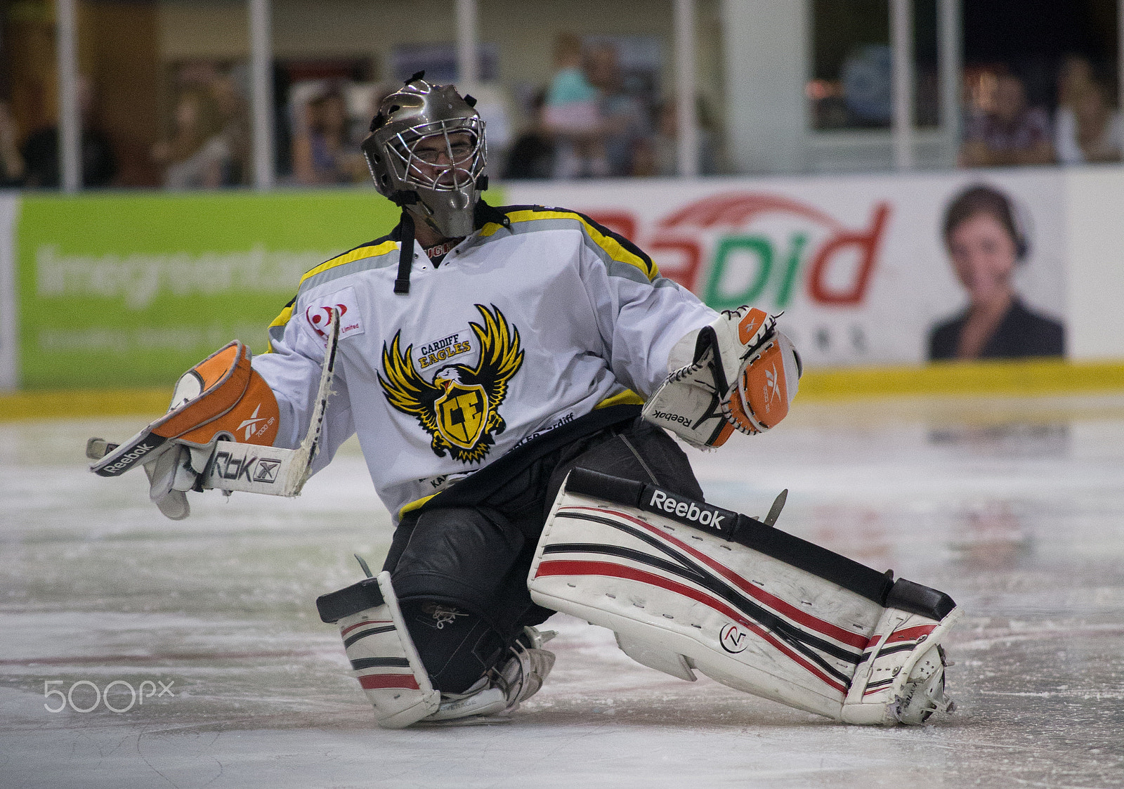 Sigma 70-200mm F2.8 EX DG OS HSM sample photo. Eagles goalie photography