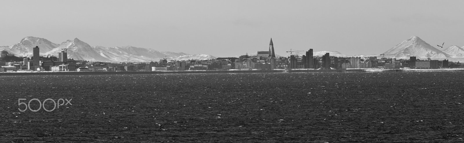 Canon EF 200mm F2.8L II USM sample photo. Reykjavik photography