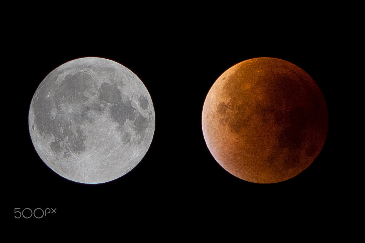 Canon EF 200mm F2.8L II USM sample photo. 2015 lunar eclipse photography