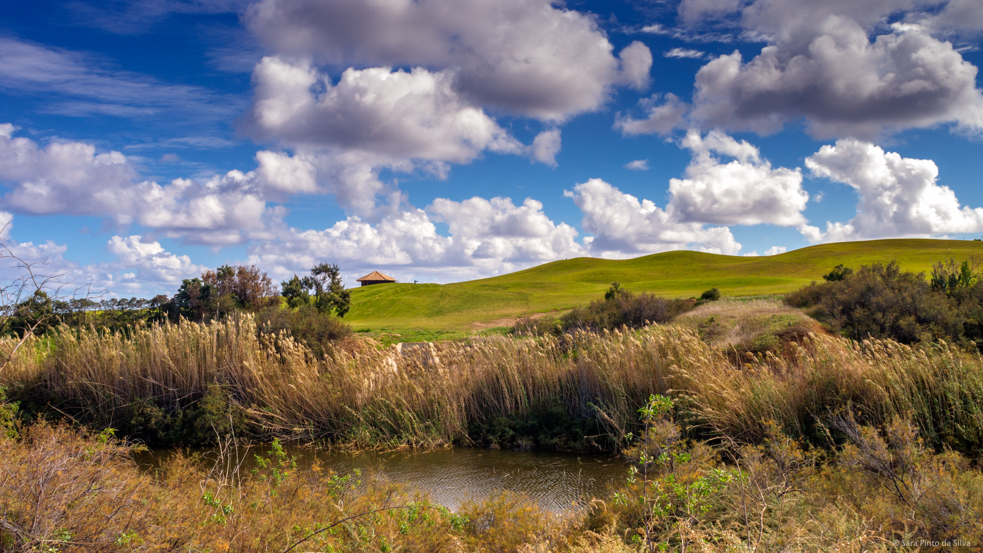 Nikon D3200 + AF Nikkor 20mm f/2.8 sample photo. Porto santo golf photography