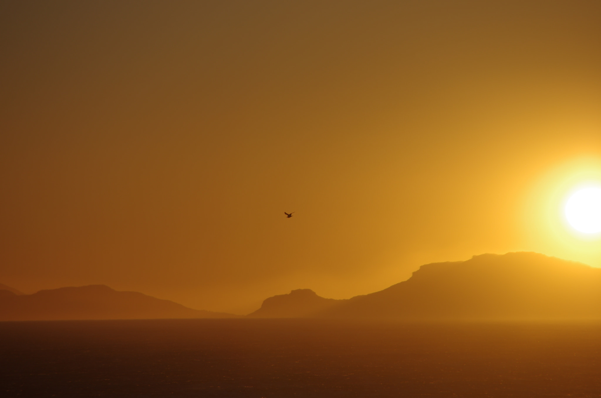 Tamron AF 18-200mm F3.5-6.3 XR Di II LD Aspherical (IF) Macro sample photo. Golden sunset photography