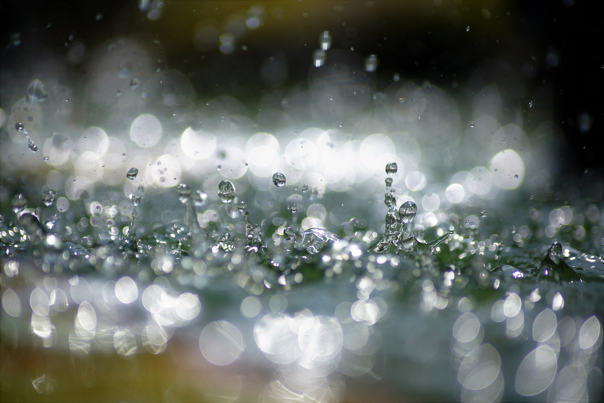 Sony Alpha DSLR-A500 sample photo. Troubled puddle photography