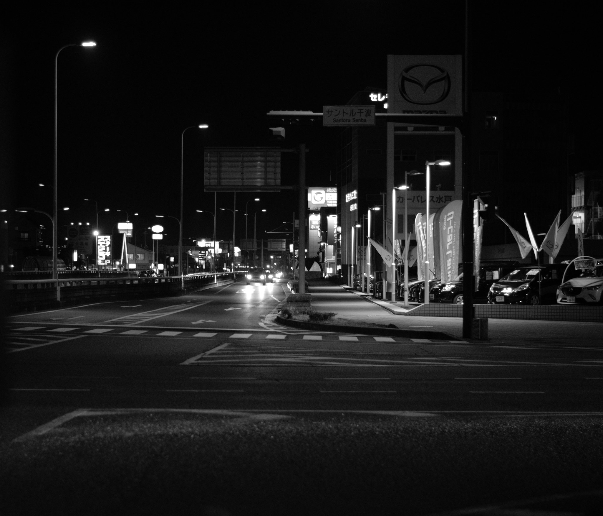 Nikon D5300 + 50mm F1.8 sample photo. The crosswalk photography