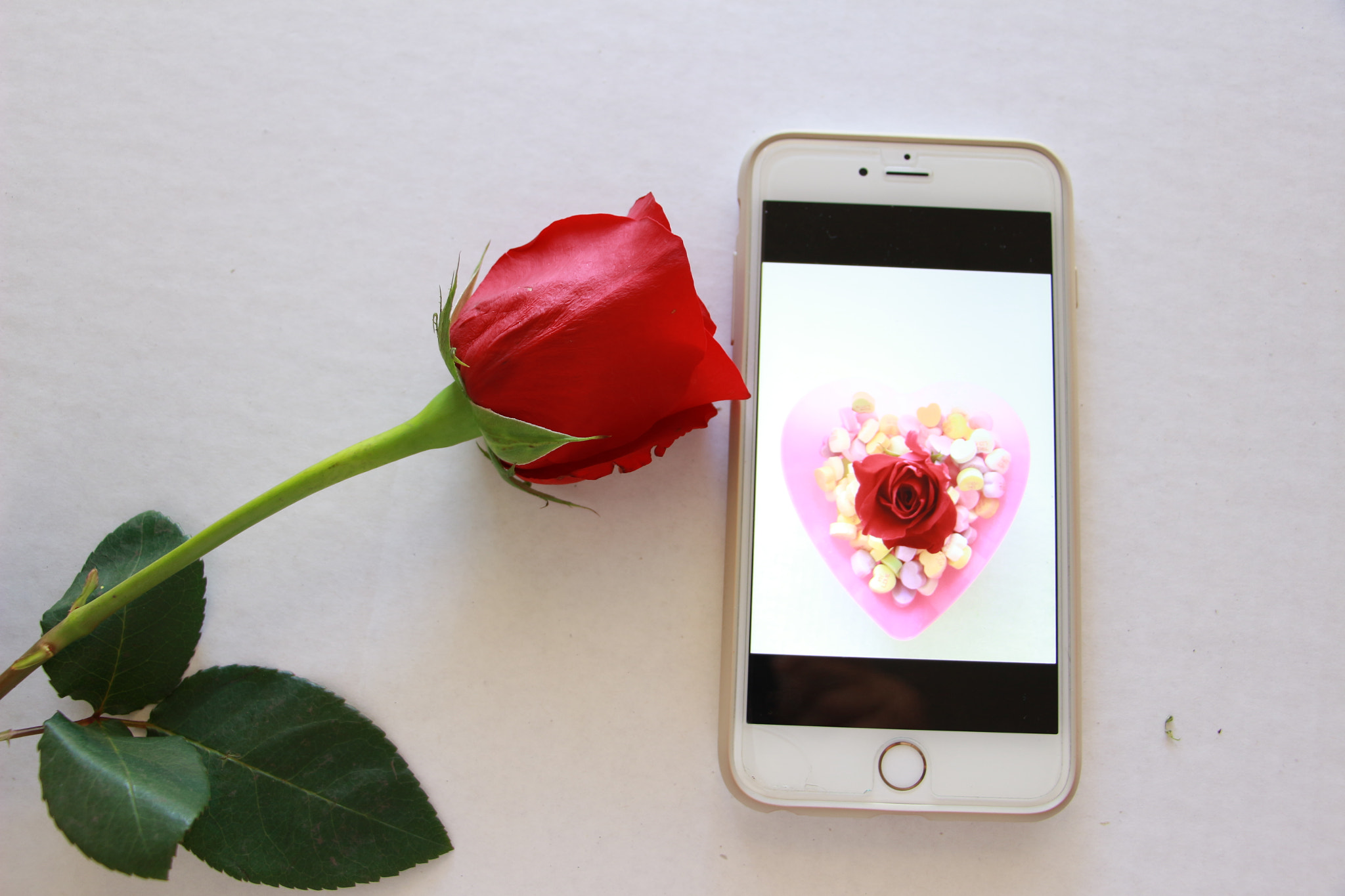 Canon EOS 100D (EOS Rebel SL1 / EOS Kiss X7) sample photo. Valentine's day celebration photography