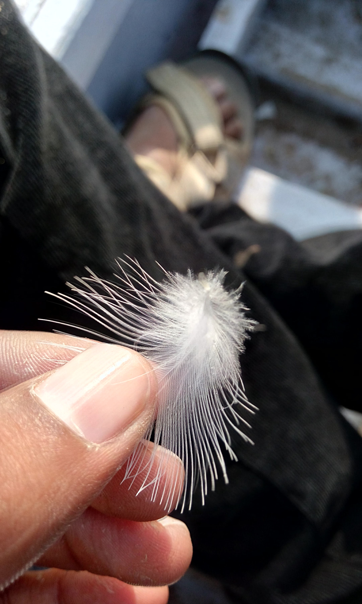 HTC DESIRE 820G PLUS DUAL SIM sample photo