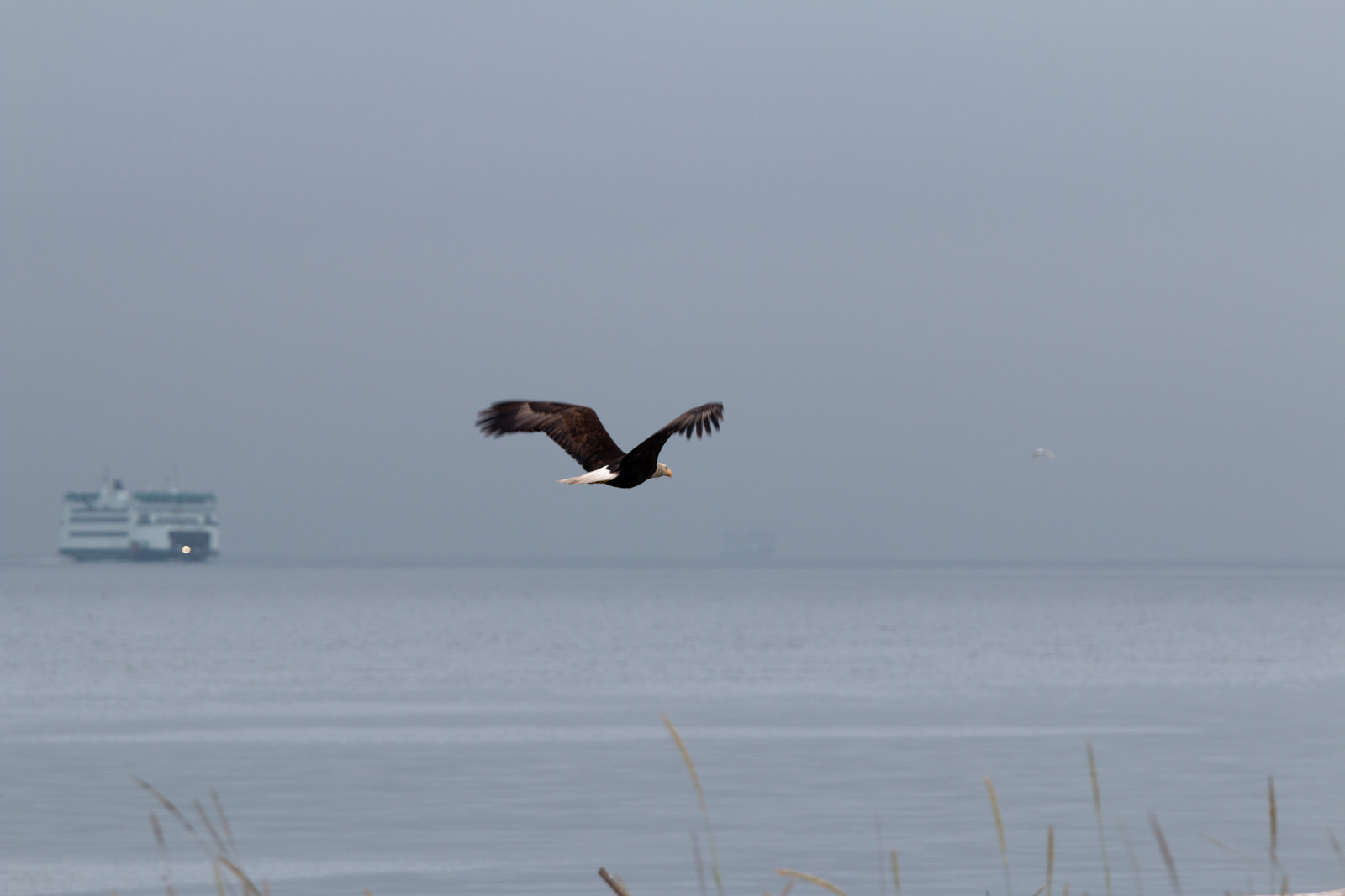 Canon EF 70-200mm F4L IS USM sample photo. Edit photography