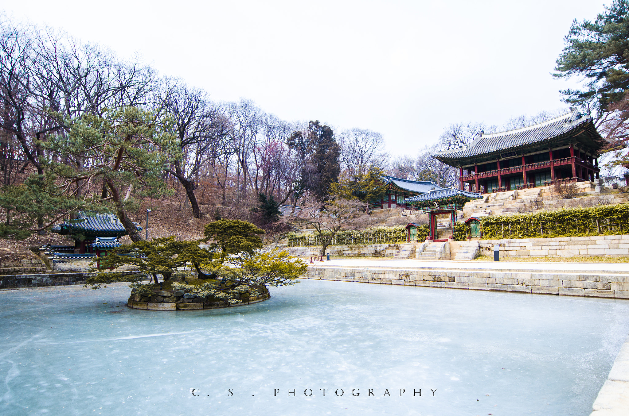 Nikon AF-S Nikkor 14-24mm F2.8G ED sample photo. Changdeokgung palace, secret garden photography