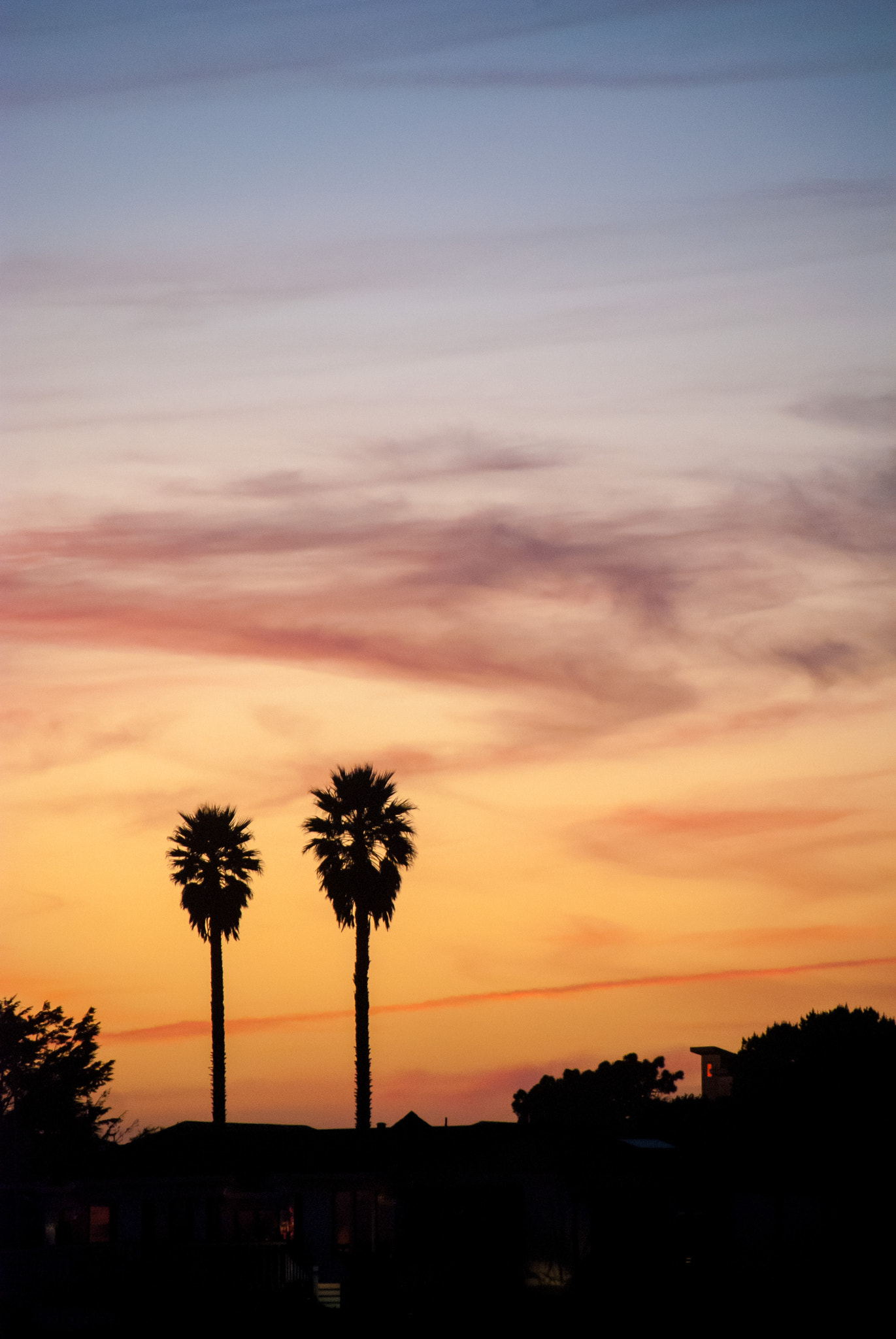 Sigma 18-250mm F3.5-6.3 DC Macro OS HSM sample photo. Palms at sunset photography