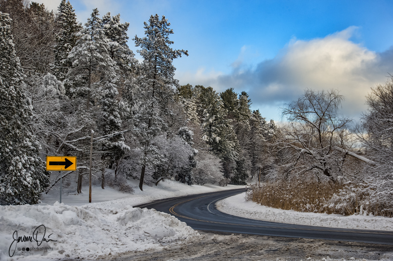 Sigma 24-105mm f/4 DG OS HSM | A sample photo. Roadside photography