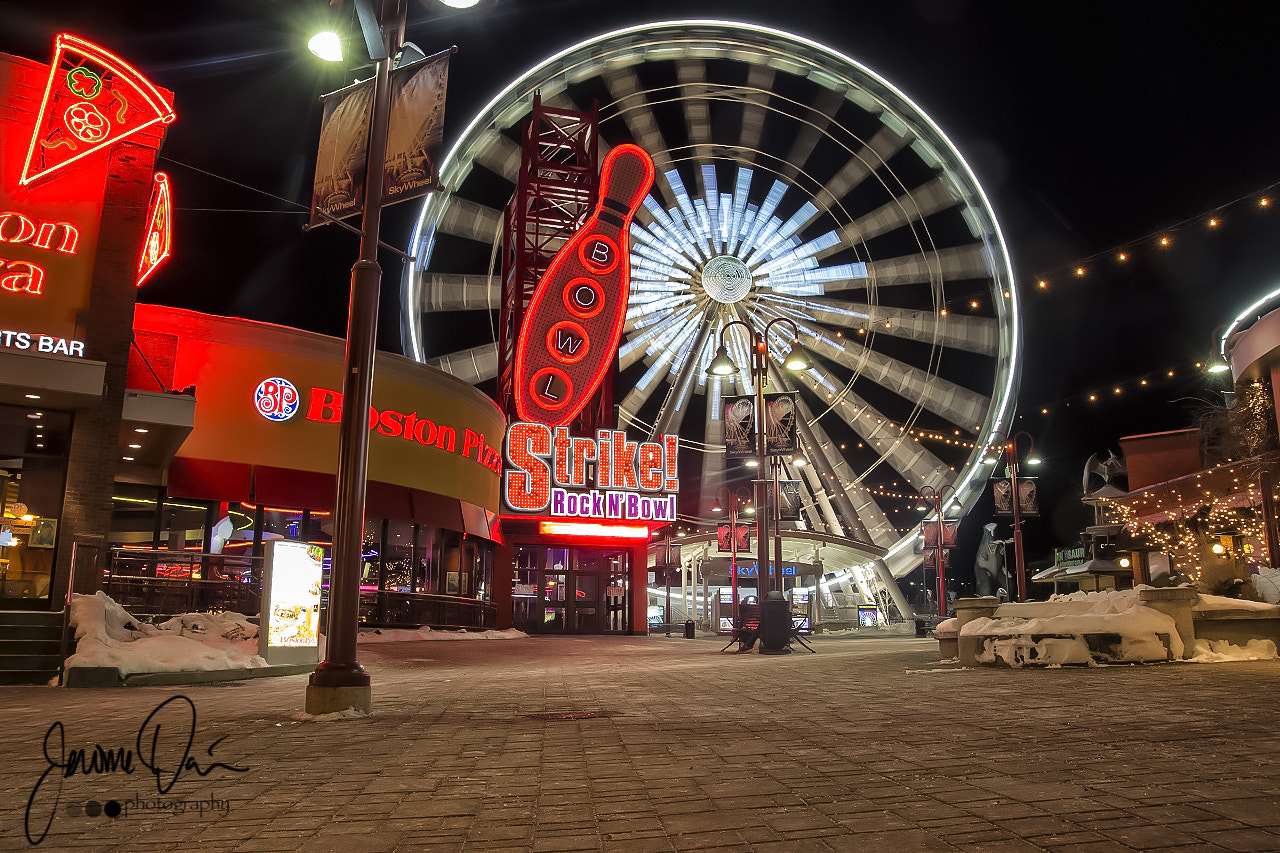 Sigma 24-105mm f/4 DG OS HSM | A sample photo. Ferris photography