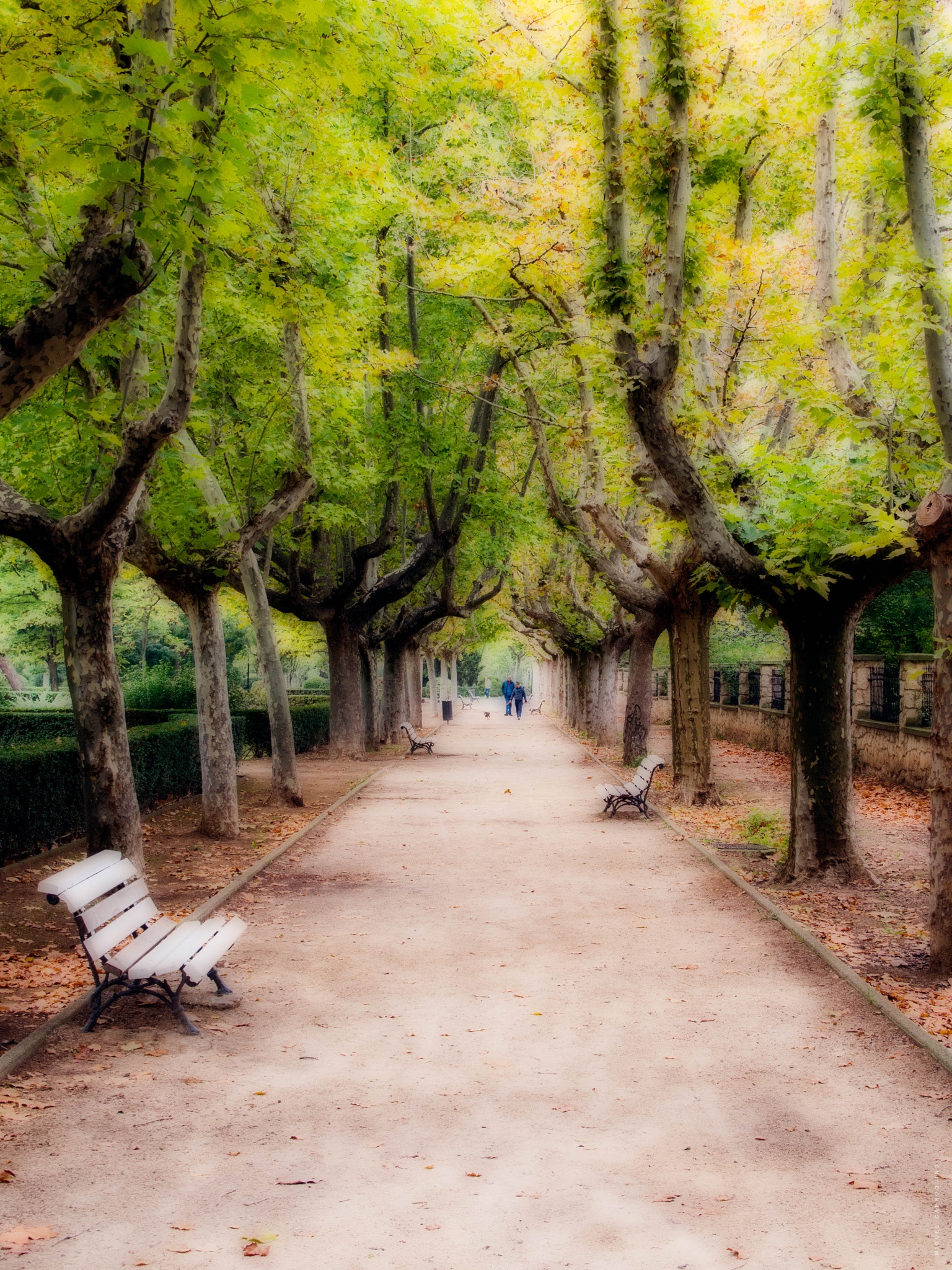 Olympus PEN E-PM2 sample photo. Promenade photography