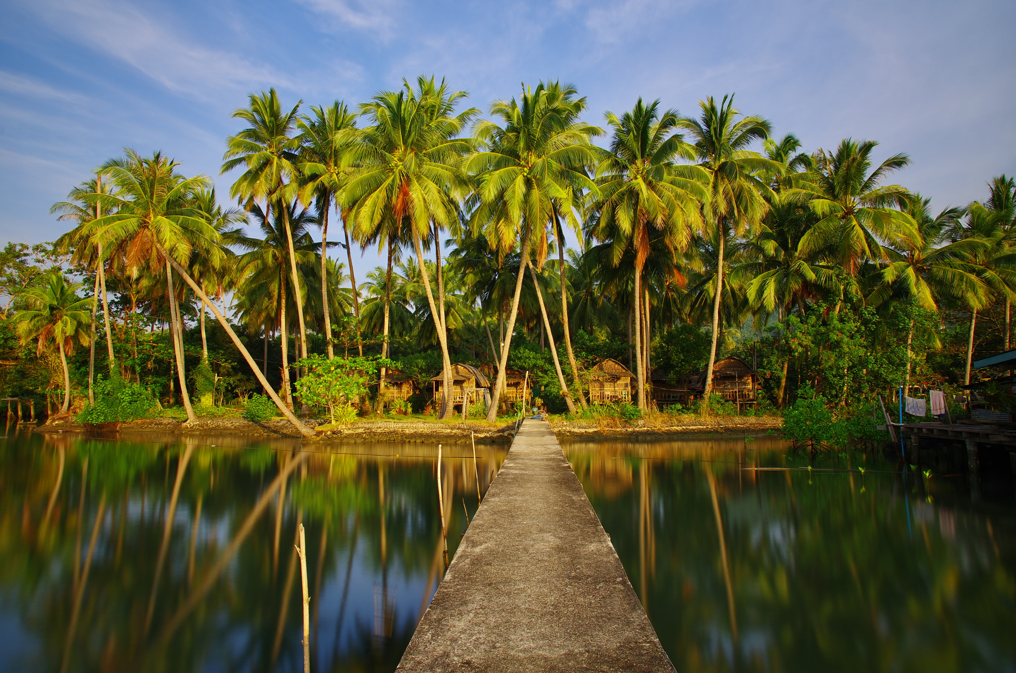 Pentax smc DA 14mm F2.8 ED (IF) sample photo. Coconut groves photography