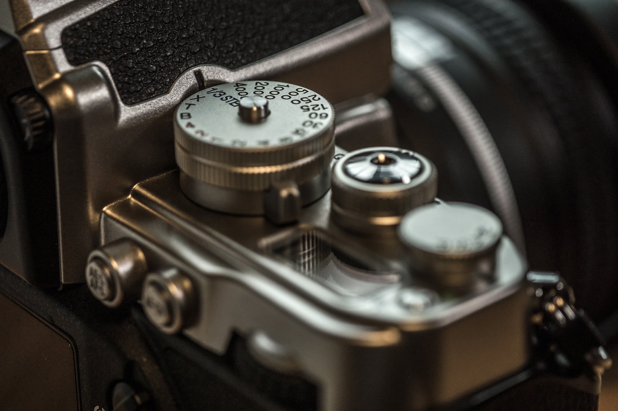 Panasonic Leica DG Macro-Elmarit 45mm F2.8 ASPH OIS sample photo. 071. photography