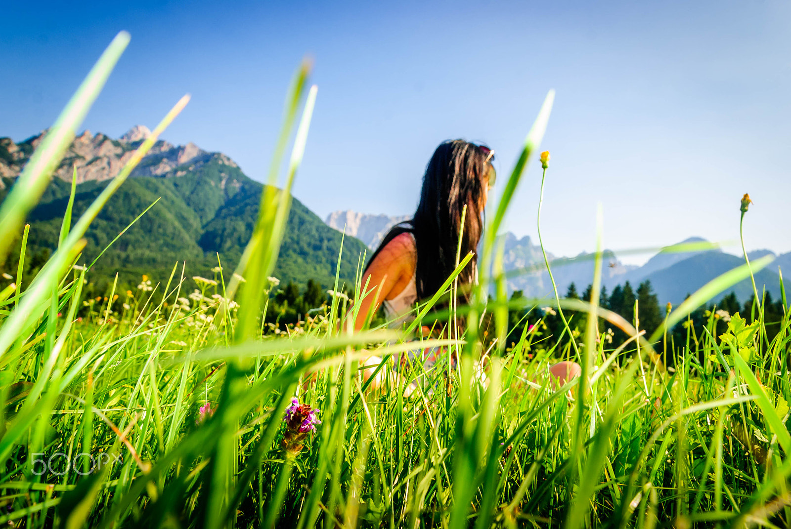 Nikon D40X sample photo. Into the grass photography