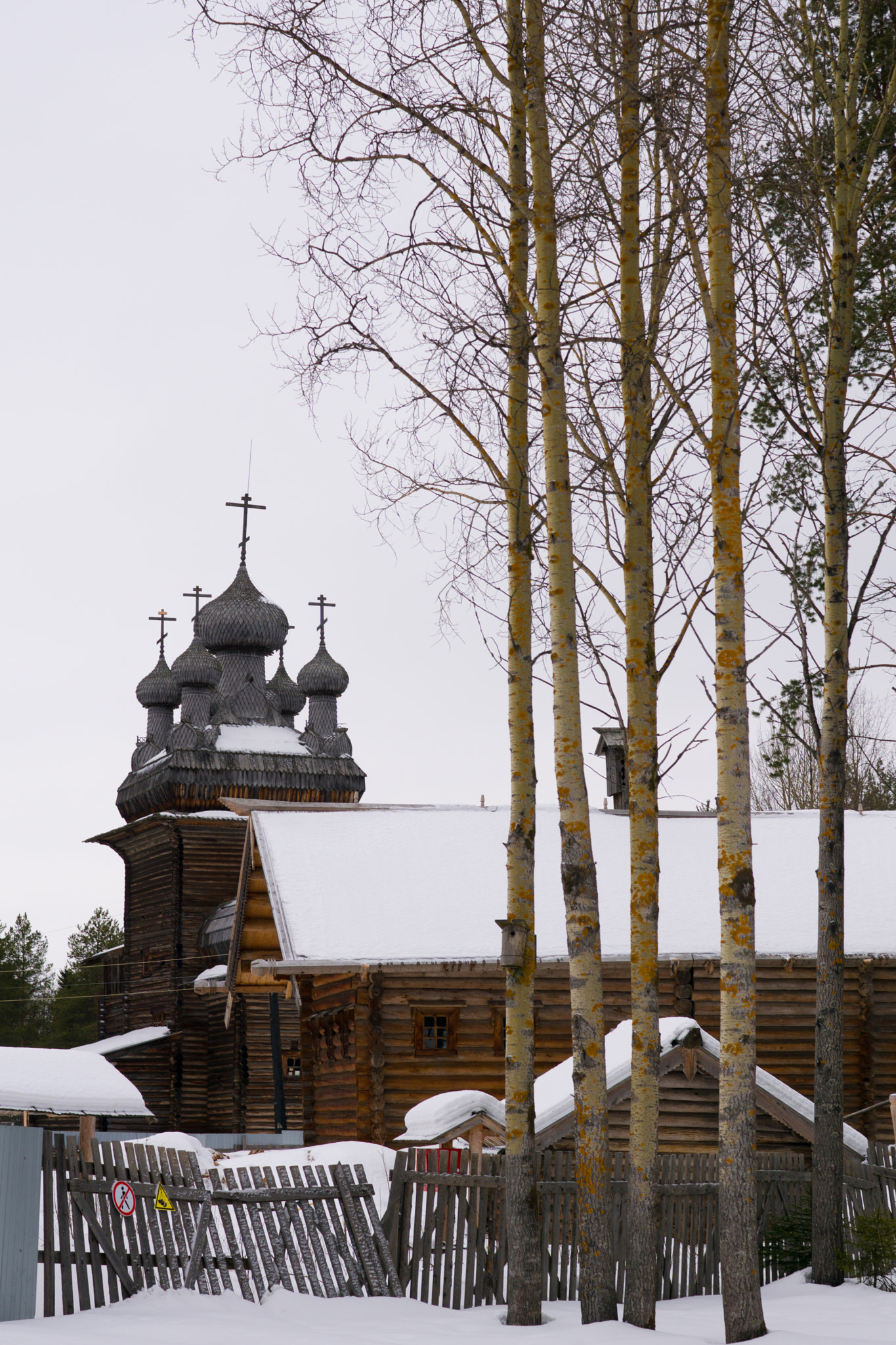 Sony ILCA-77M2 + Sony 50mm F1.4 sample photo. Arkhangelsk, malye korely open-air museum photography