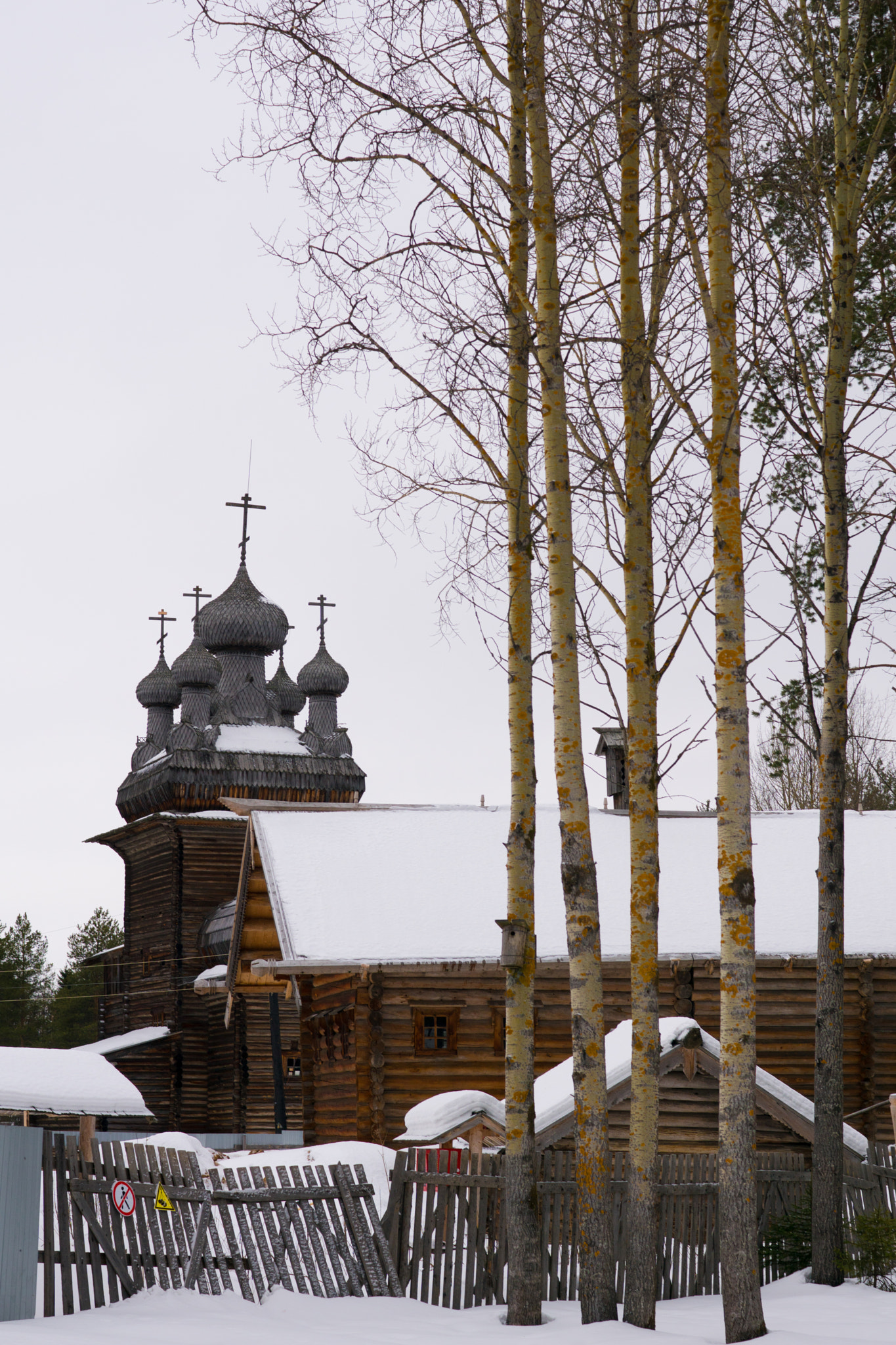 Sony ILCA-77M2 sample photo. Arkhangelsk, malye korely open-air museum photography