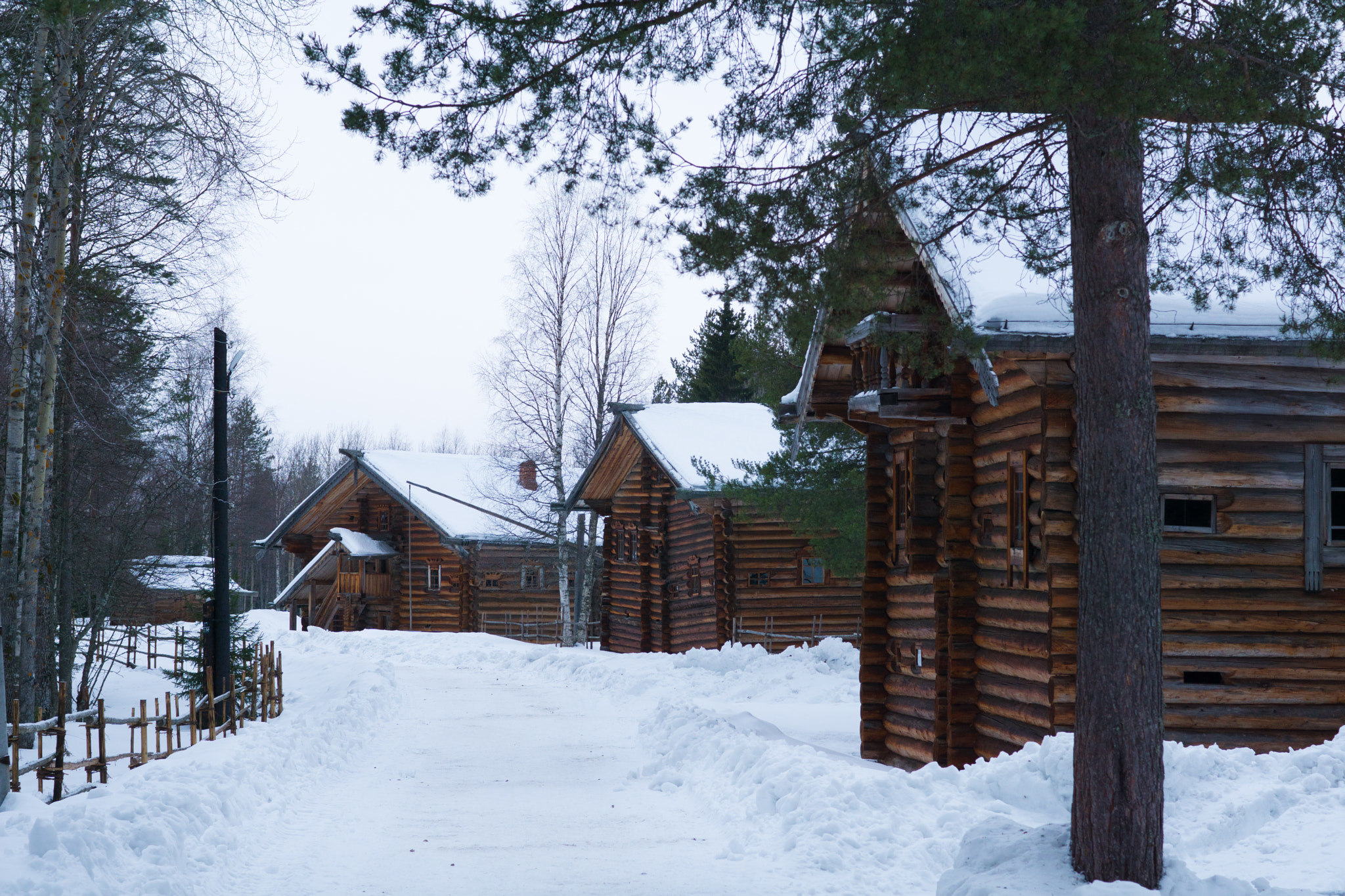 Sony ILCA-77M2 + Sony 50mm F1.4 sample photo. Arkhangelsk, malye korely open-air museum photography