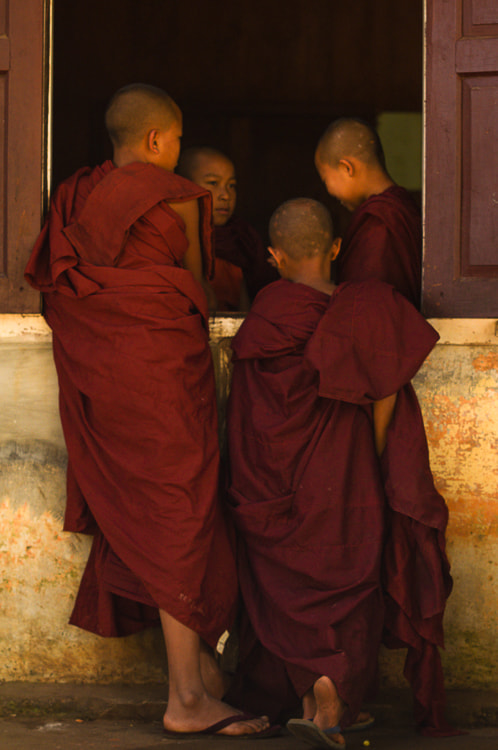Sigma 70-200mm F2.8 EX DG Macro HSM II sample photo. Monks photography