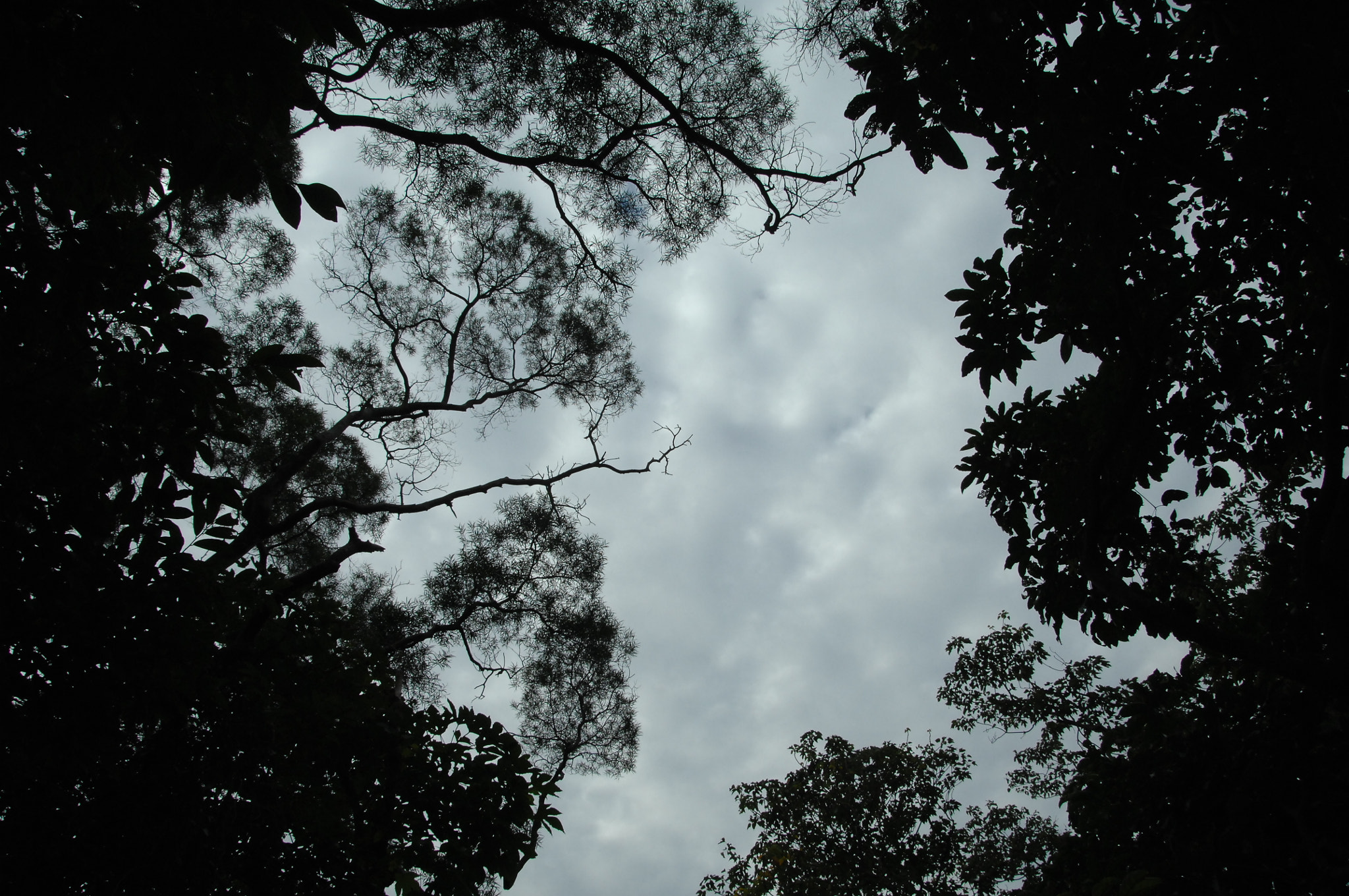 Nikon D2X sample photo. .. photography